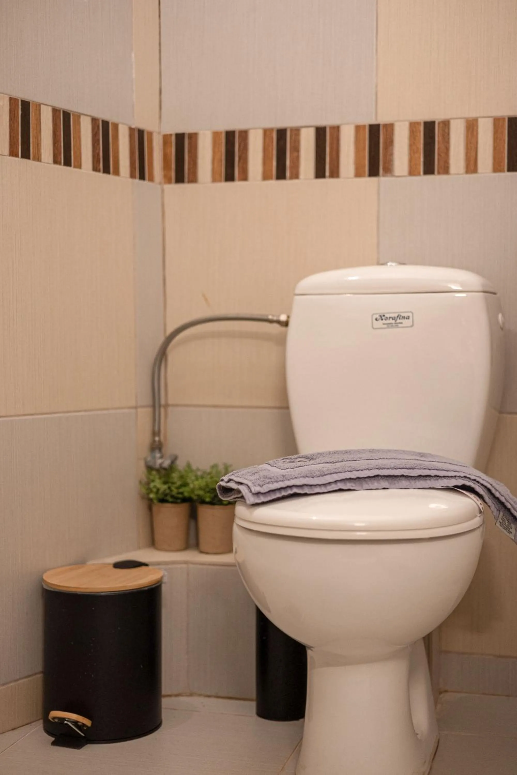 Toilet in Vathyskia Guesthouse