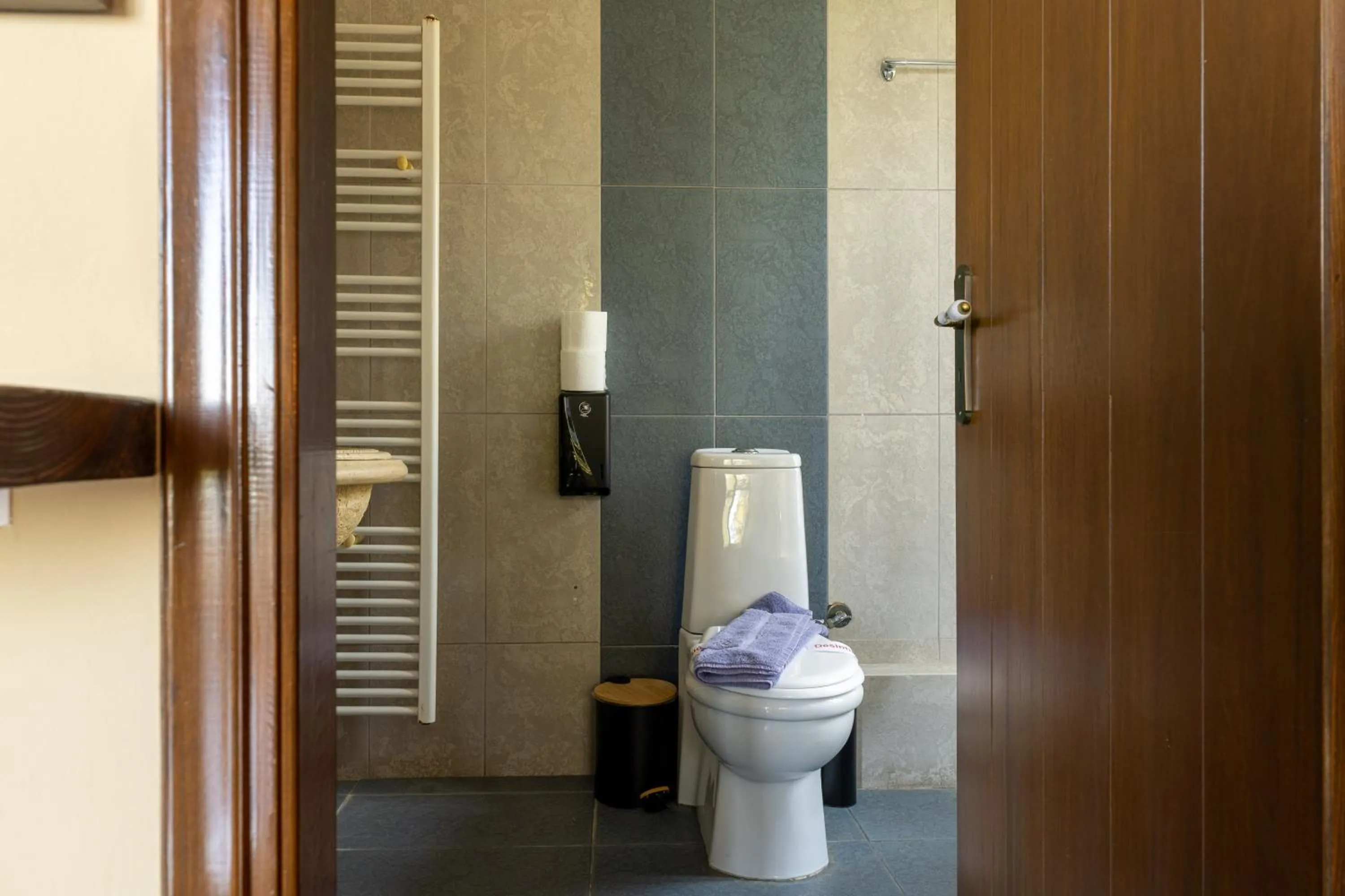 Toilet in Vathyskia Guesthouse
