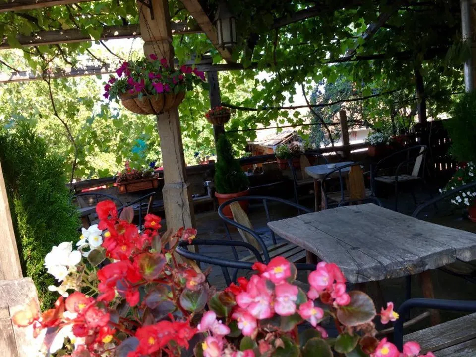 Food and drinks in Hotel Pri Chakara