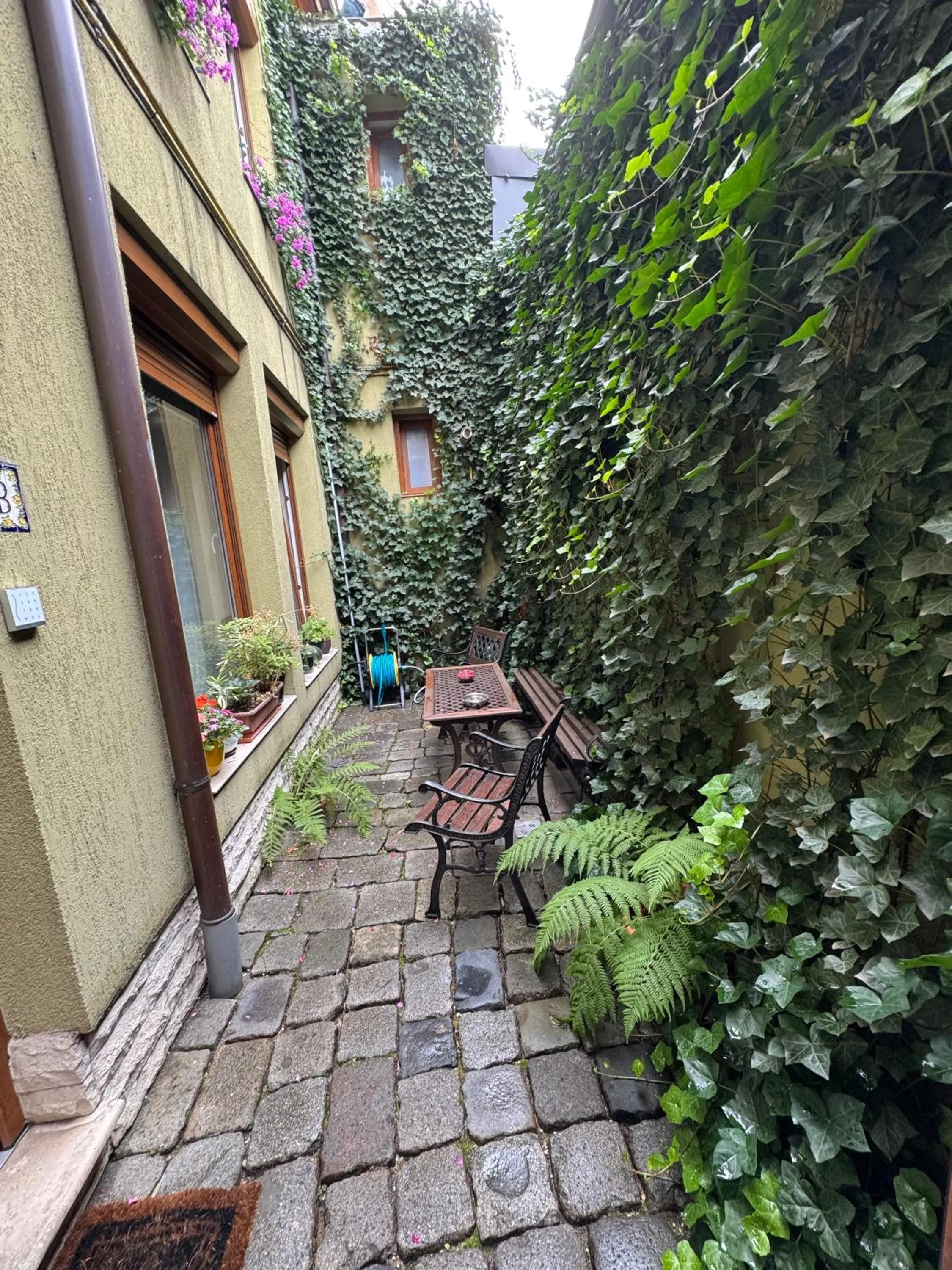 Patio in Lucas 10 Apartments