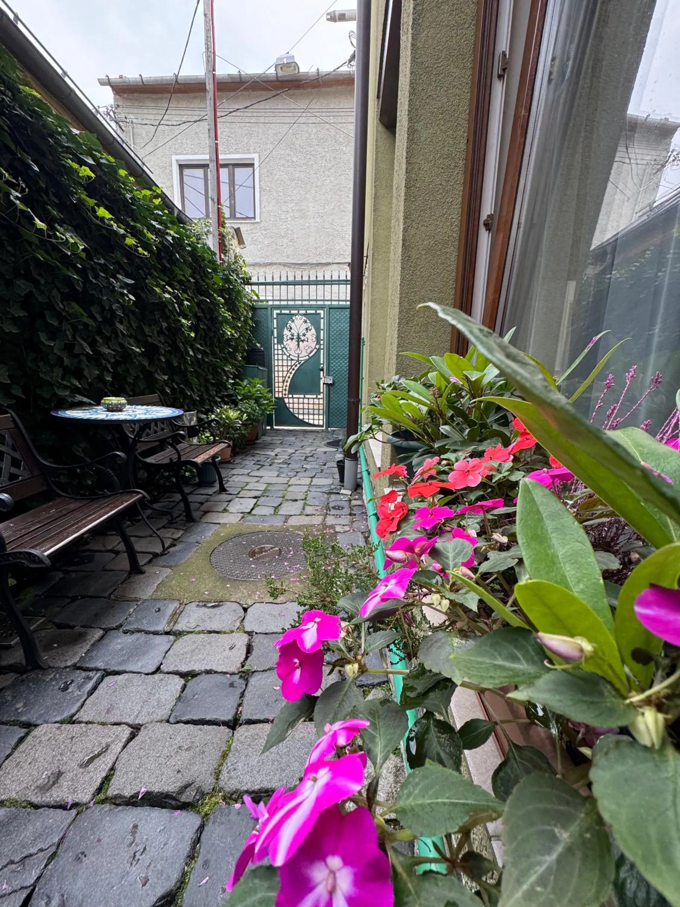 Garden in Lucas 10 Apartments