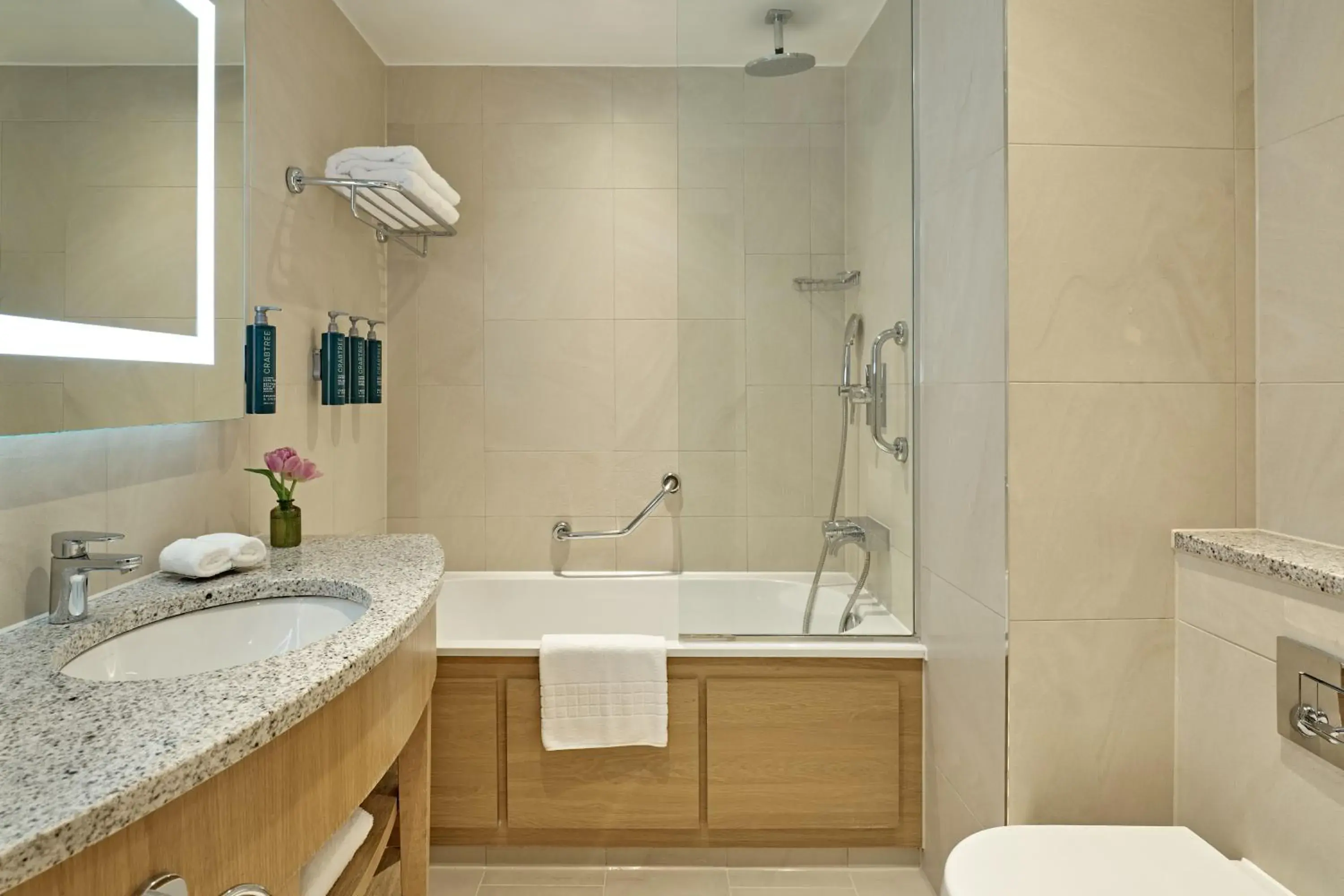 Deluxe Twin Room in London Hilton on Park Lane Deluxe Twin Room in London Hilton on Park Lane