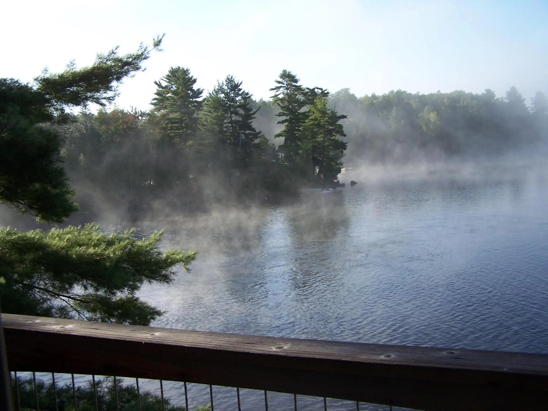 Neighbourhood in Sunny Rock Bed & Breakfast