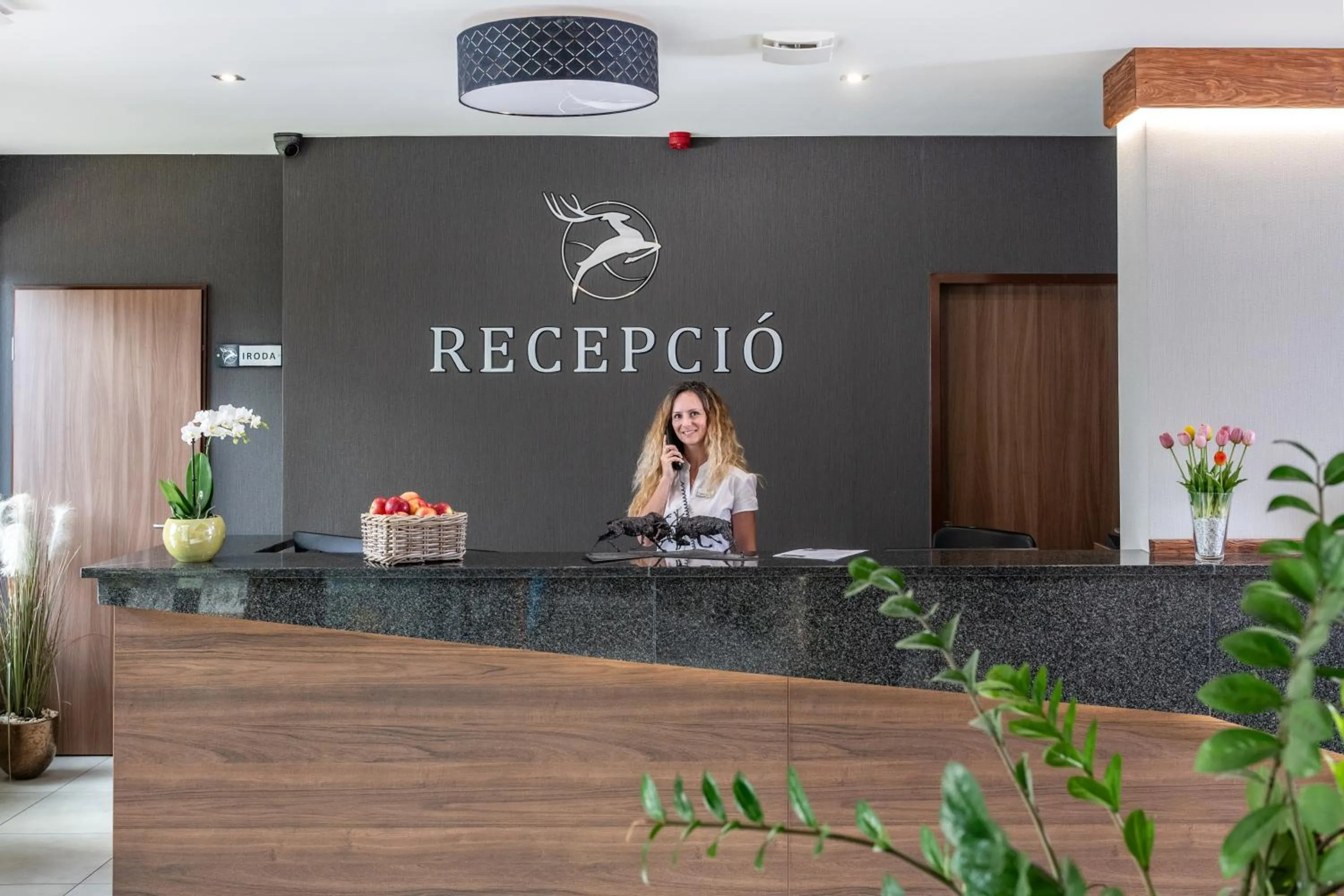 Lobby or reception in Szarvaskút Hotel