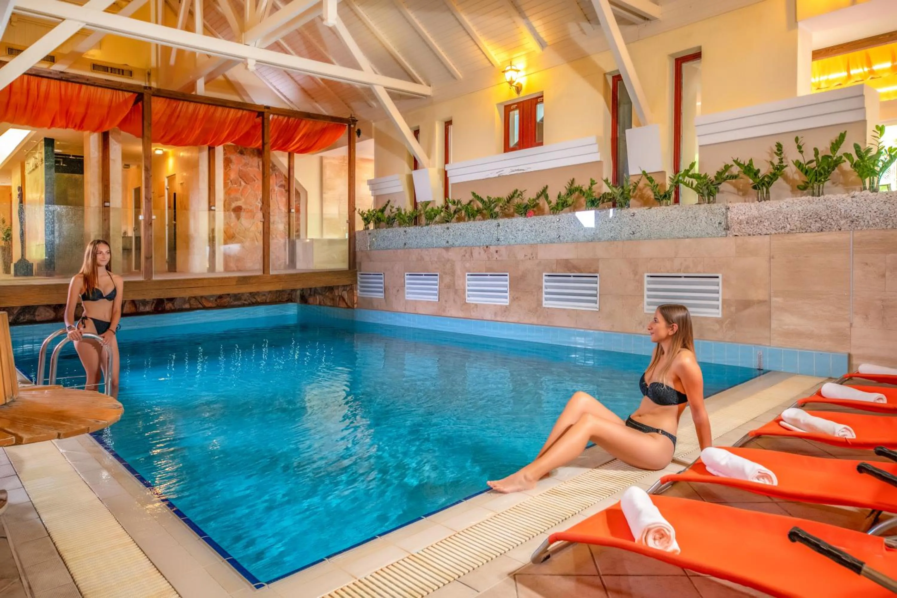 Swimming pool in Szarvaskút Hotel