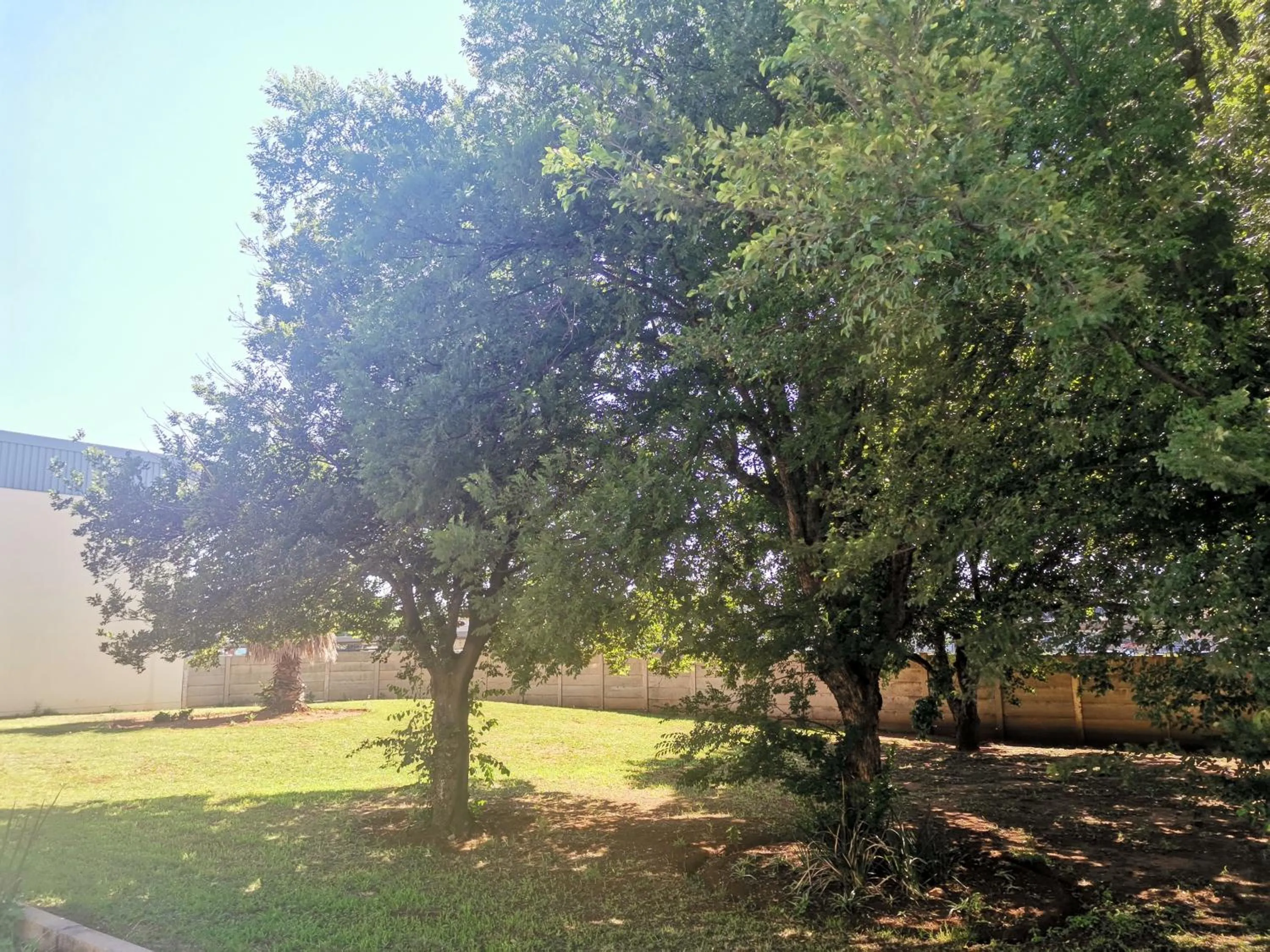 Garden view in SUN1 ALBERTON