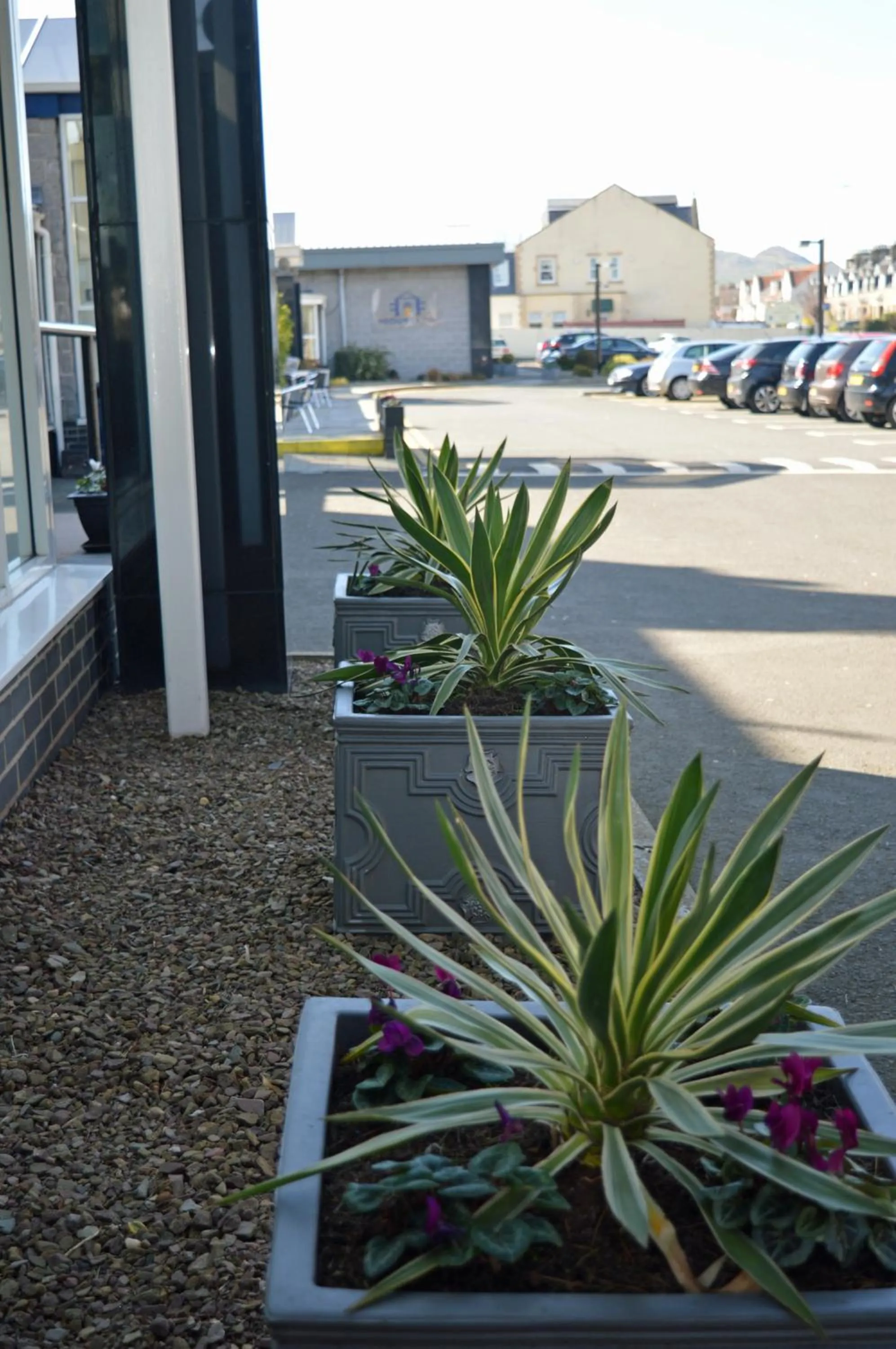 Patio in Best Western Kings Manor
