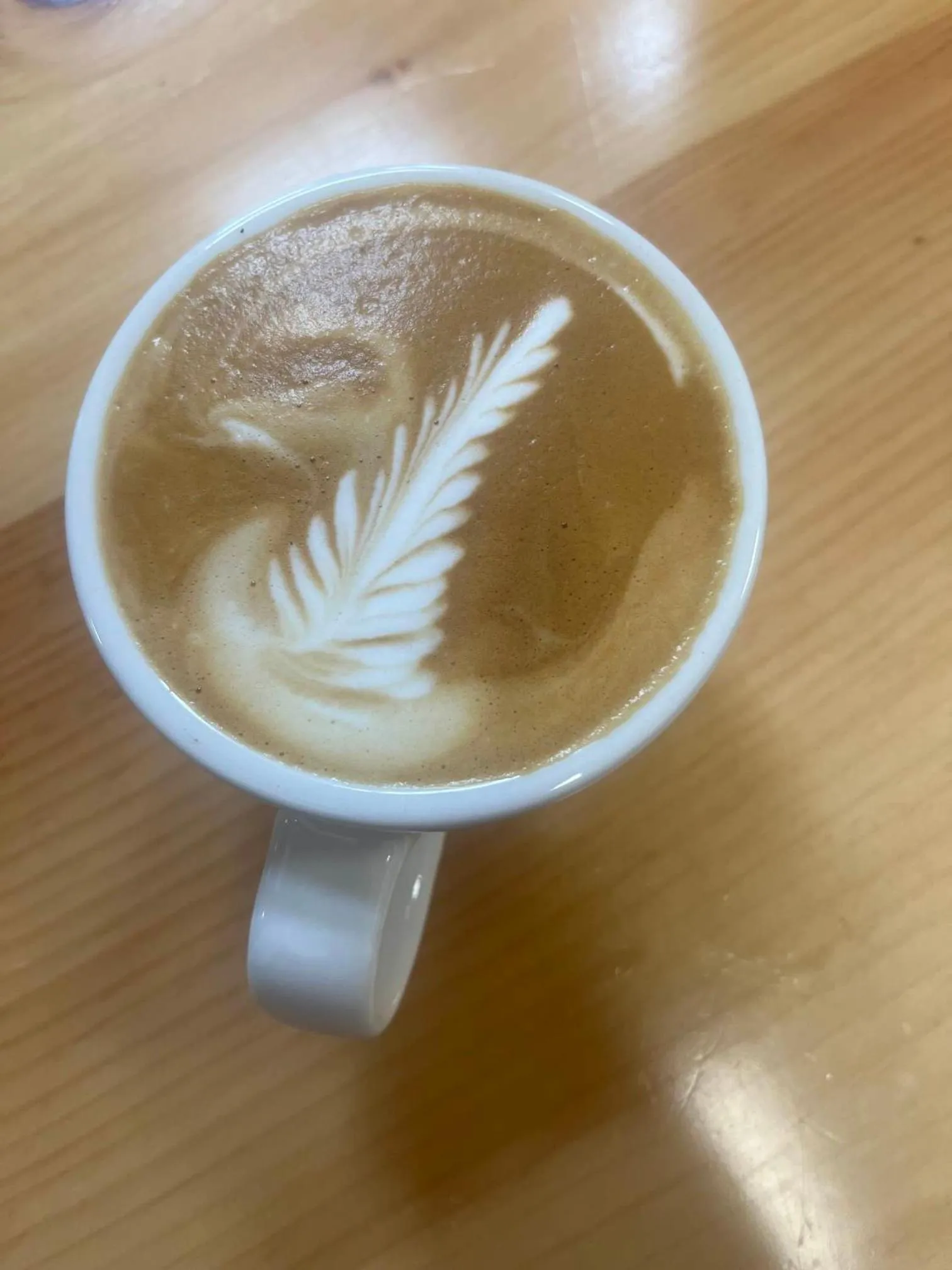 Coffee/tea facilities in LOGE Wolf Creek