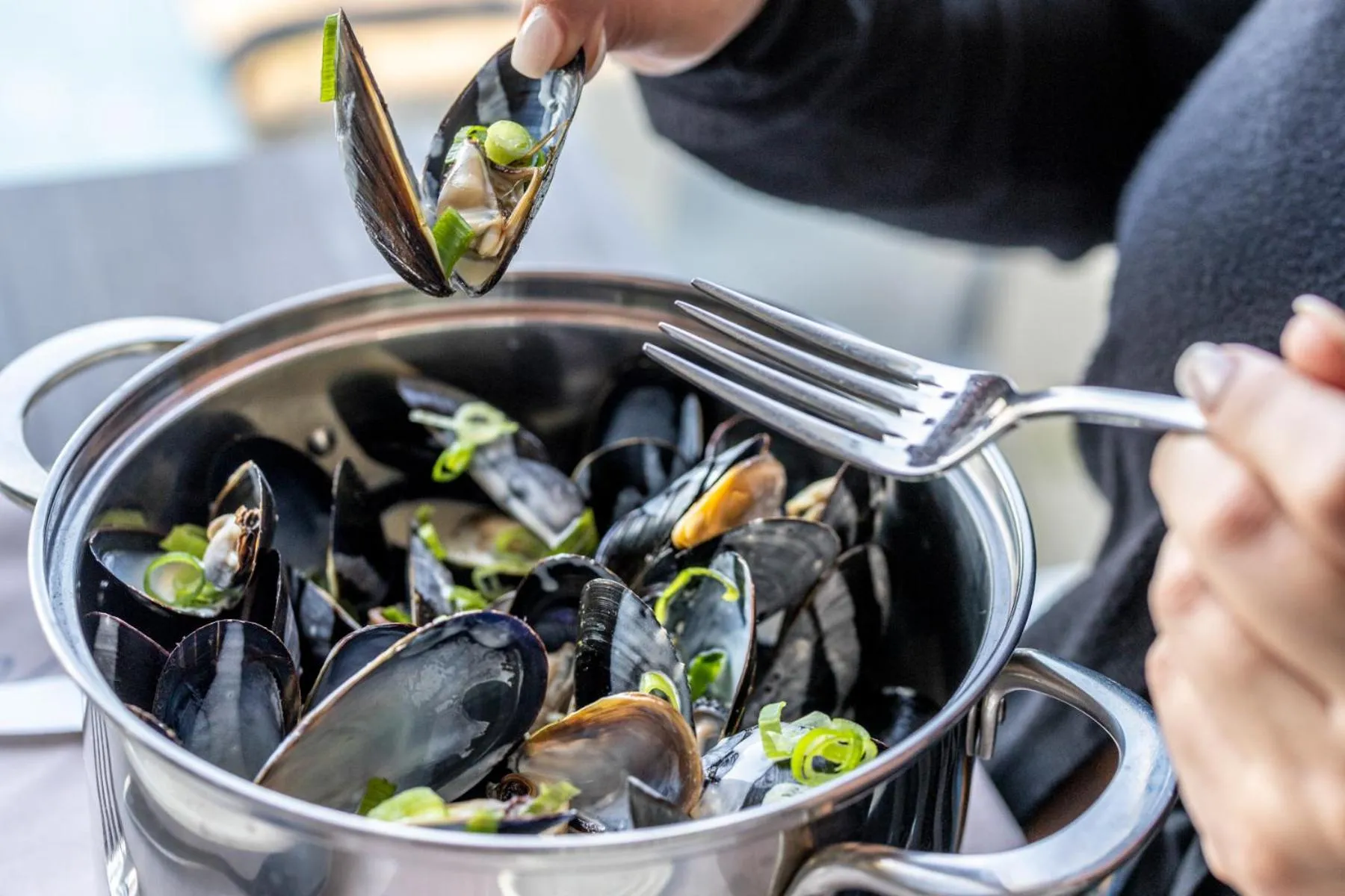 Restaurant/places to eat in Le Gaspesiana