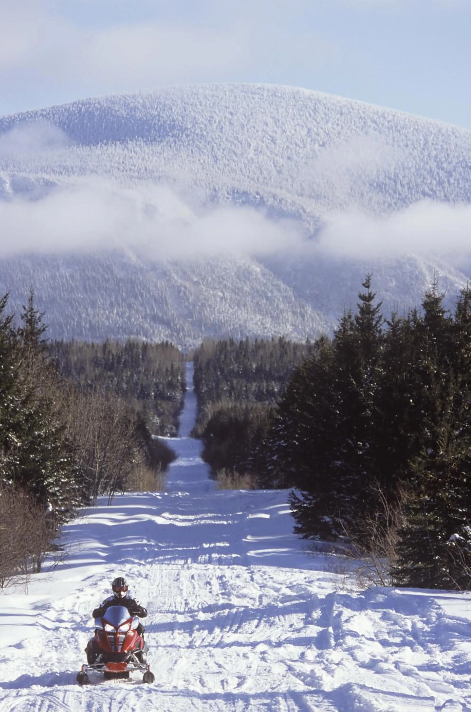 Activities in Le Gaspesiana