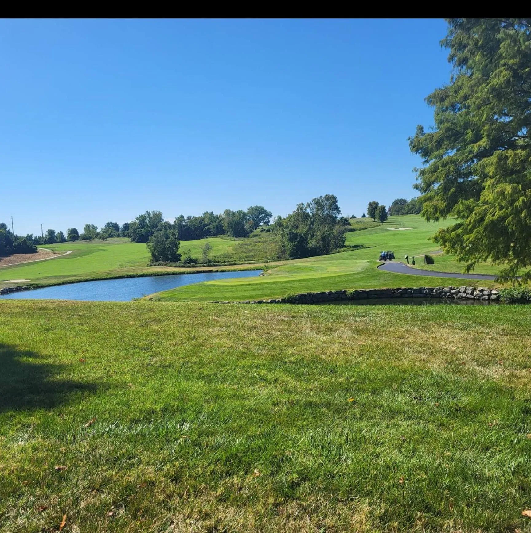 Spring in Quality Inn & Suites Blue Springs - Kansas City