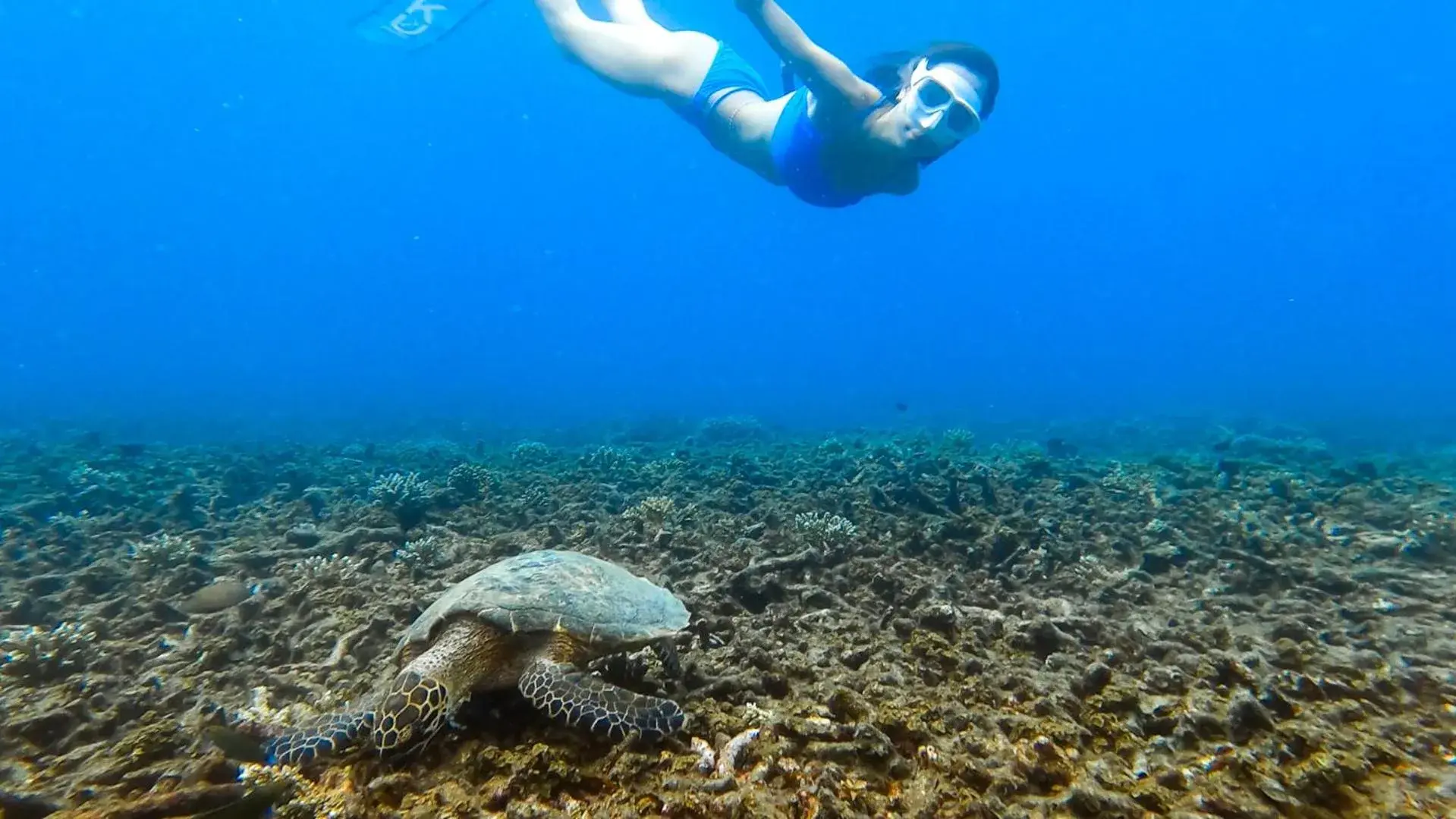 Activities in Taatoh Seaview Resort - SHA Plus Activities in Taatoh Seaview Resort - SHA Plus