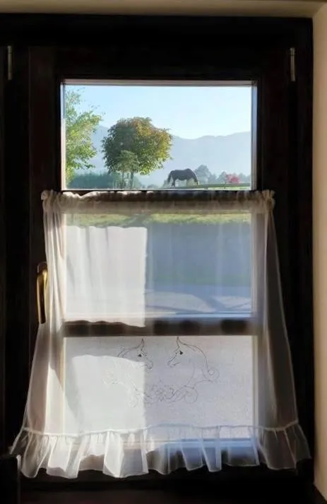 Off site in Hotel Rural Yeguada Albeitar