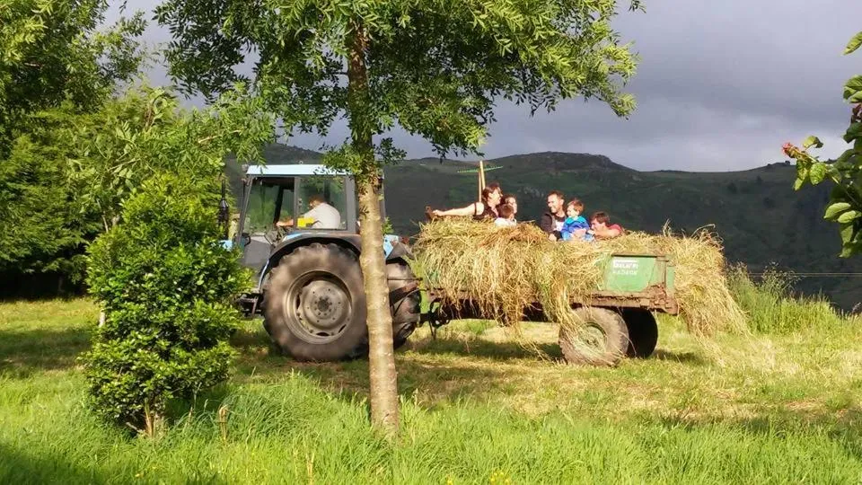 Hotel Rural Yeguada Albeitar