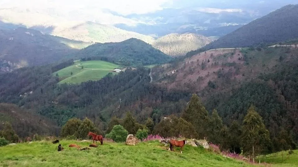 Hotel Rural Yeguada Albeitar