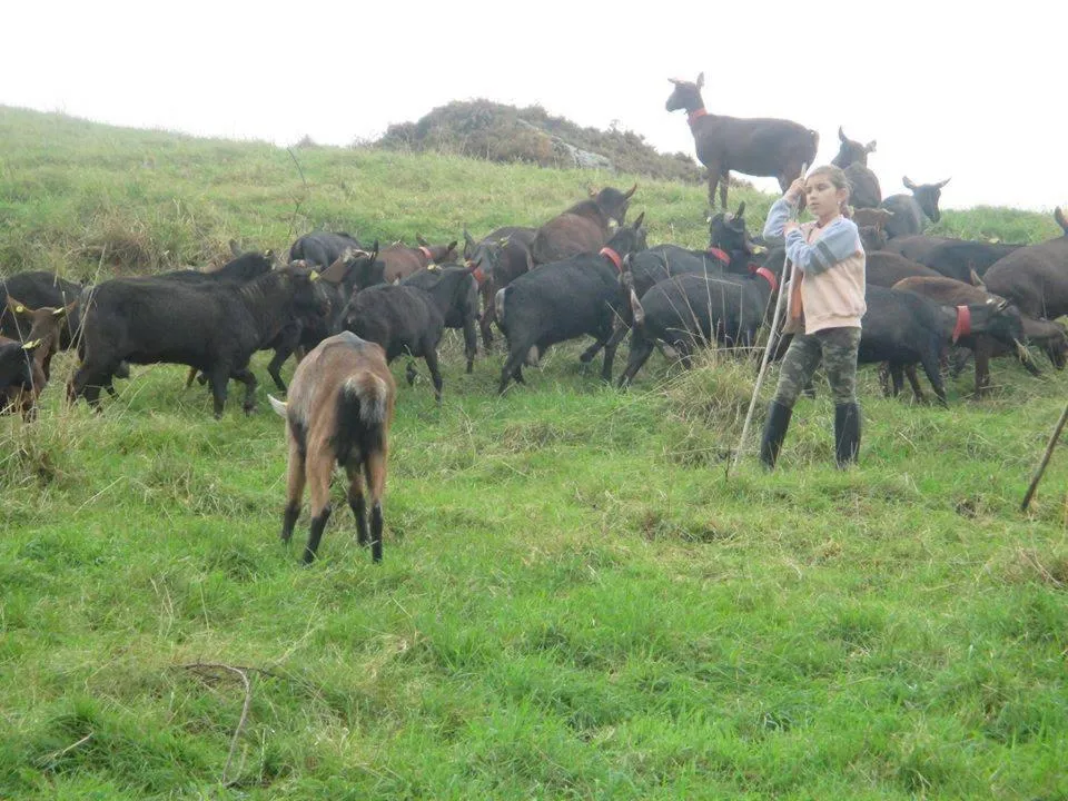 Hotel Rural Yeguada Albeitar