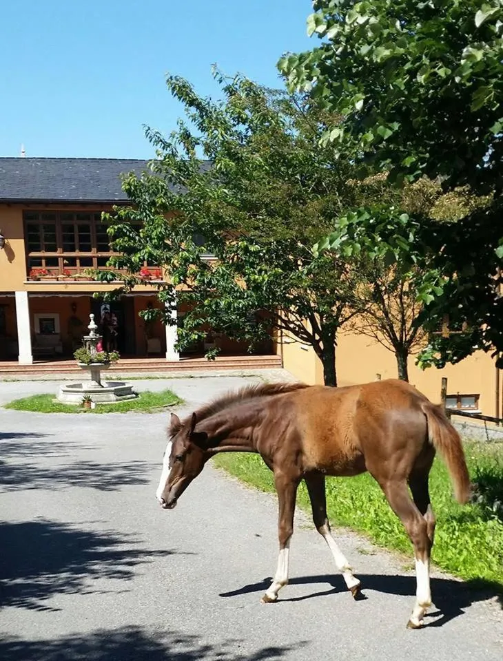 Facade/entrance in Hotel Rural Yeguada Albeitar