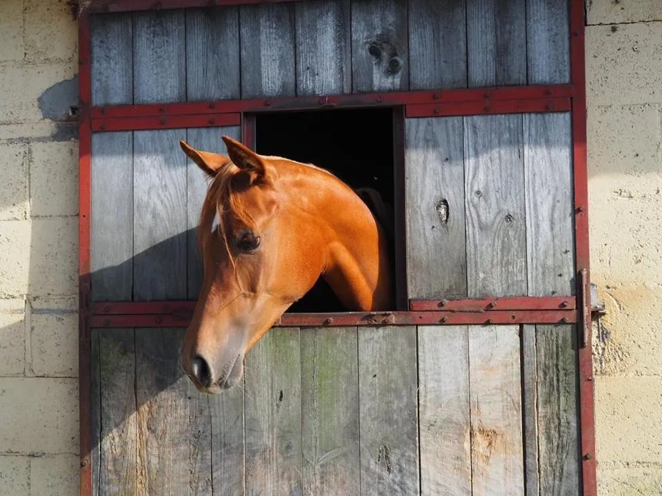 Hotel Rural Yeguada Albeitar