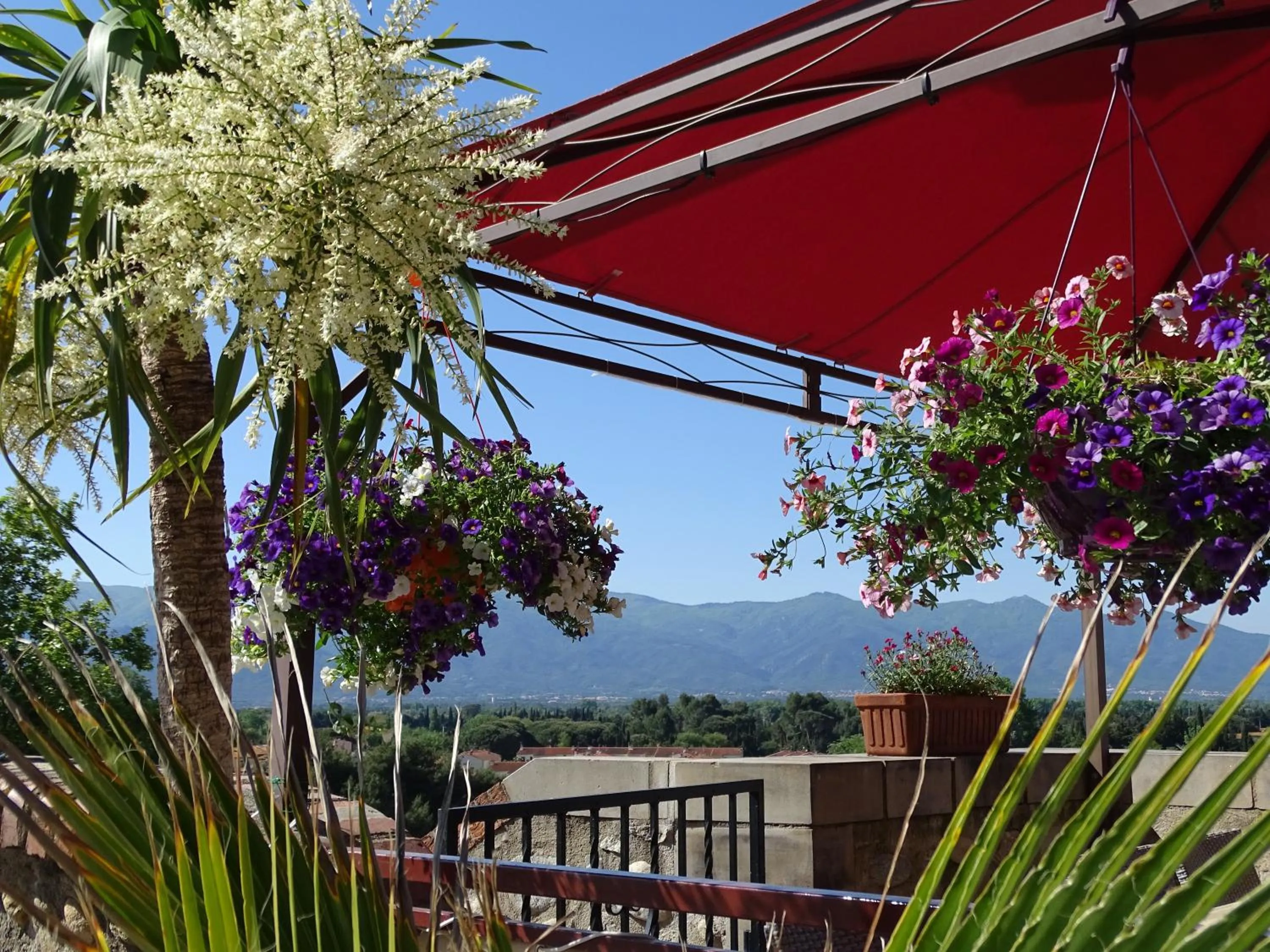 Balcony/Terrace in Logis Hotel Restaurant Le Cara Sol
