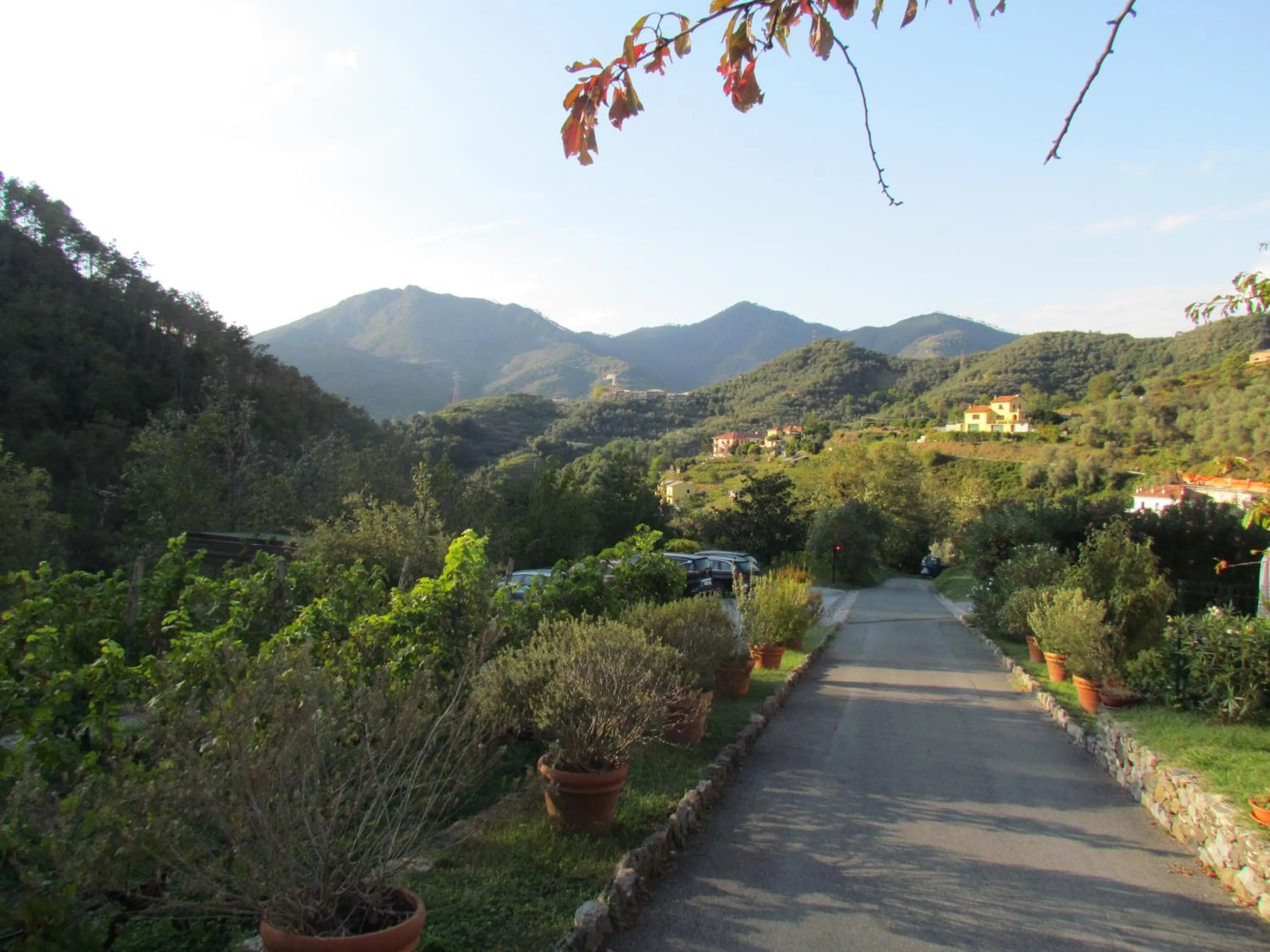 Mountain view in Villanova - Nature & Wellness