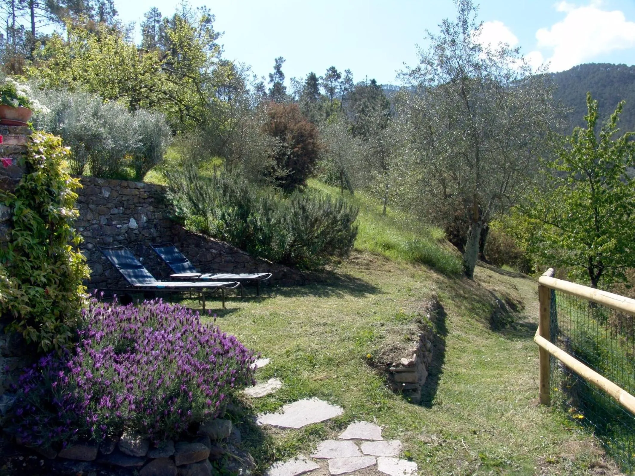 Garden in Villanova - Nature & Wellness