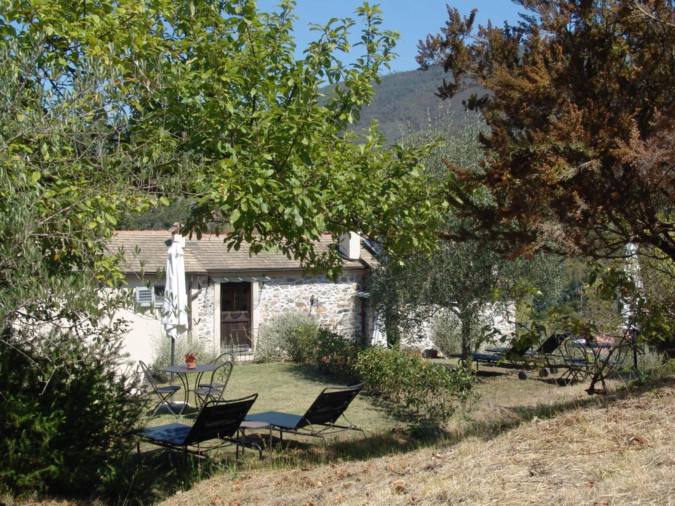 Garden in Villanova - Nature & Wellness