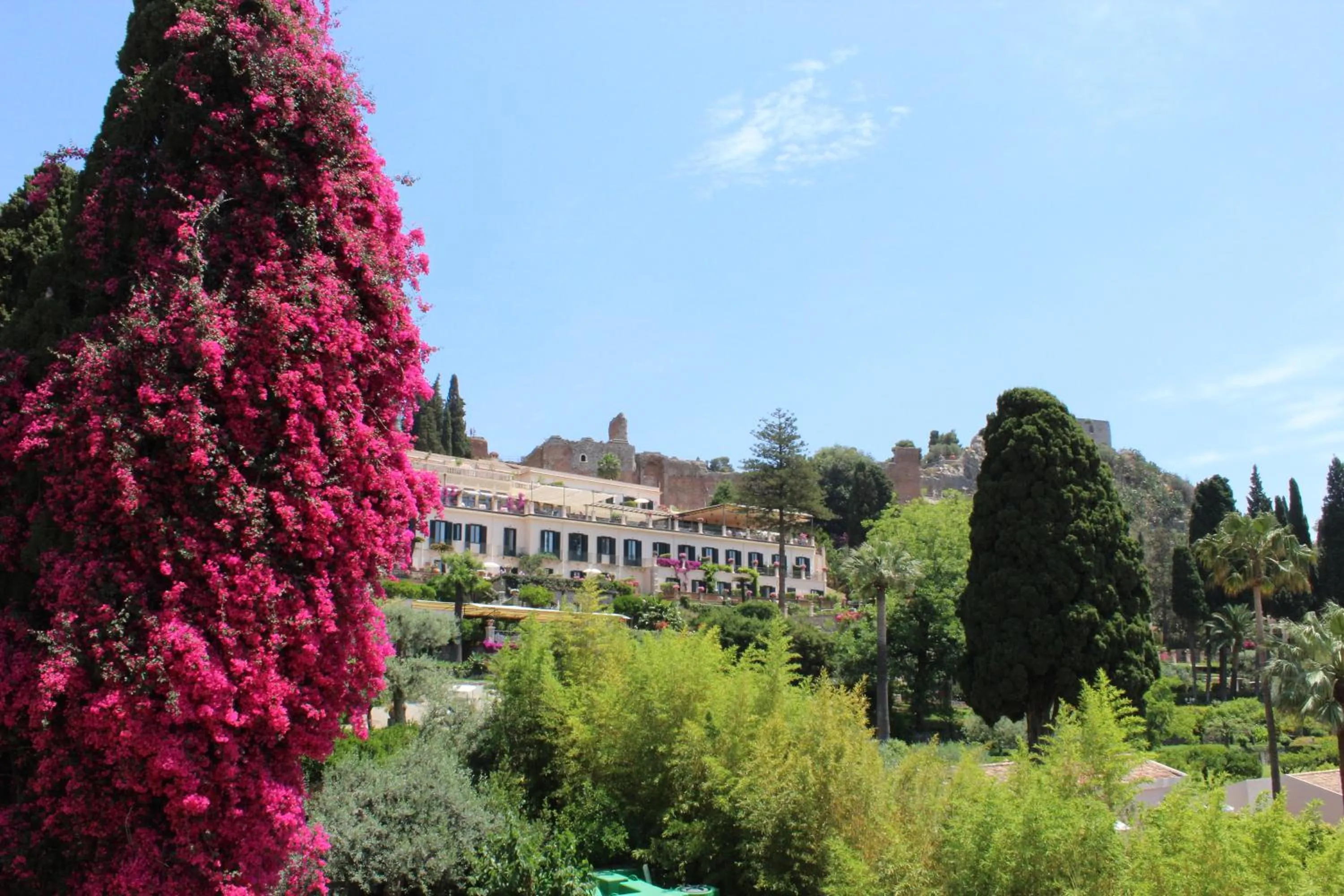 Garden view in B&B Casa al Vicolo 2