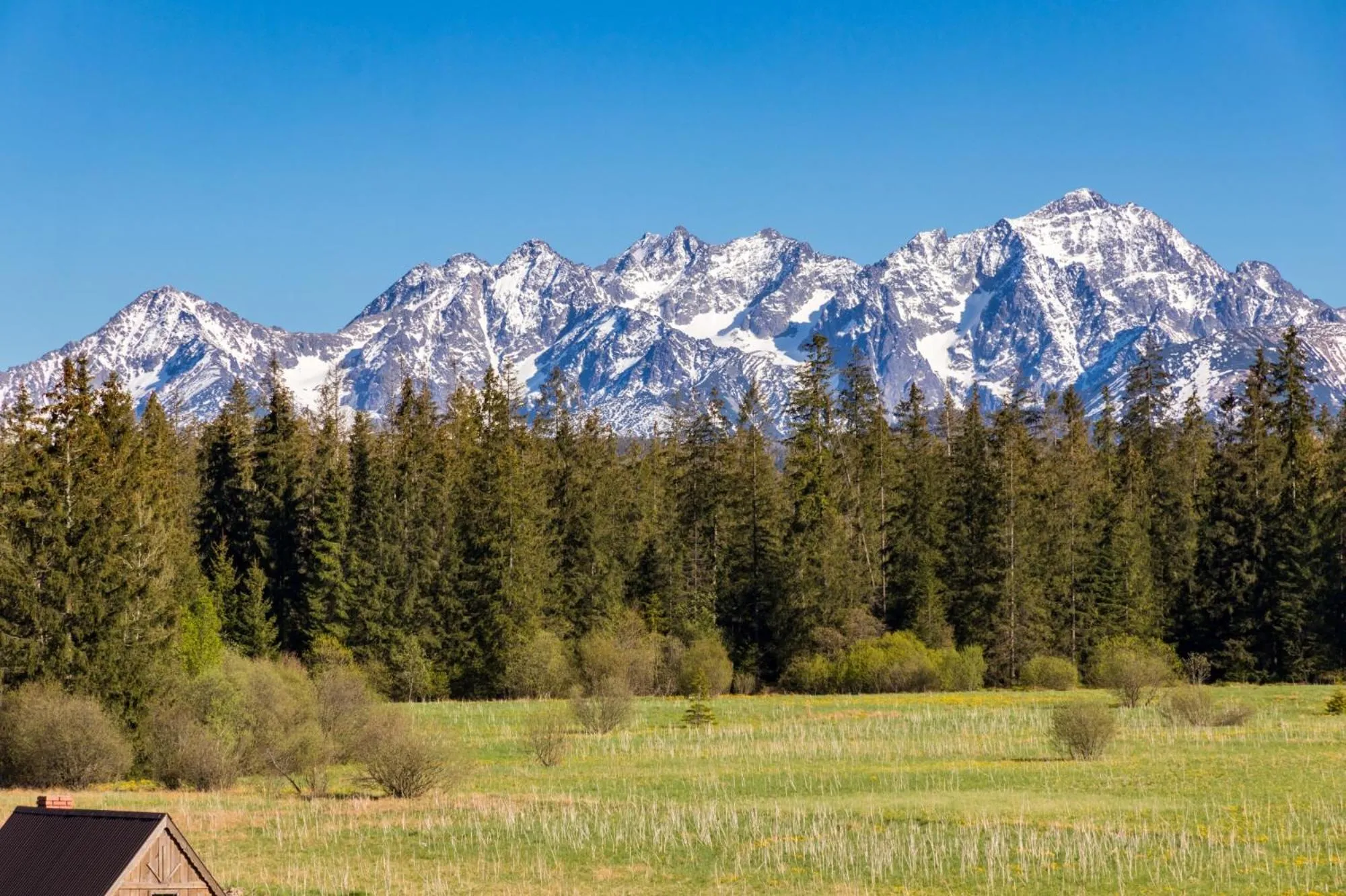 Mountain view in Leśny Dwór