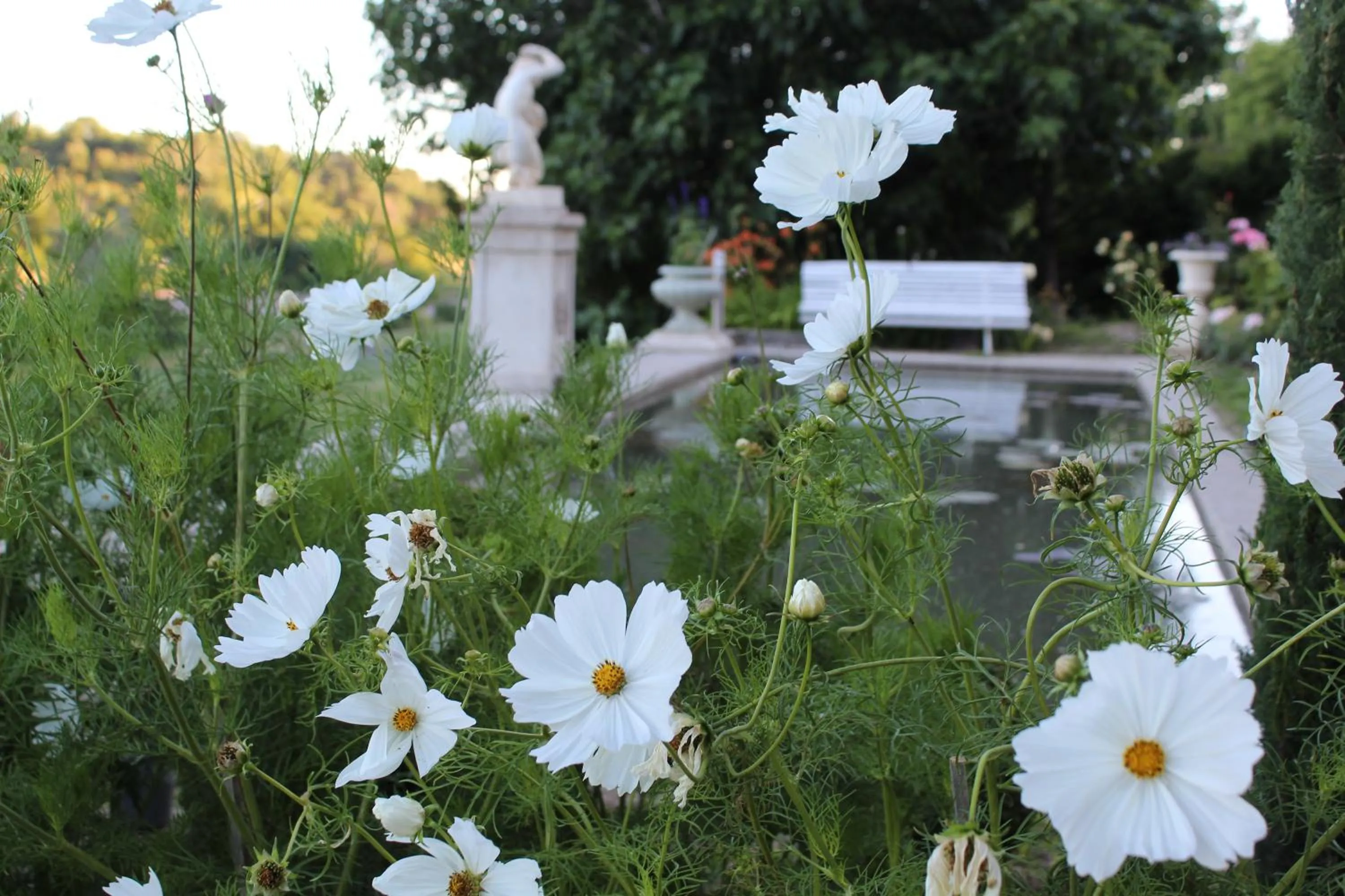 Natural landscape in Château du Grand Jardin