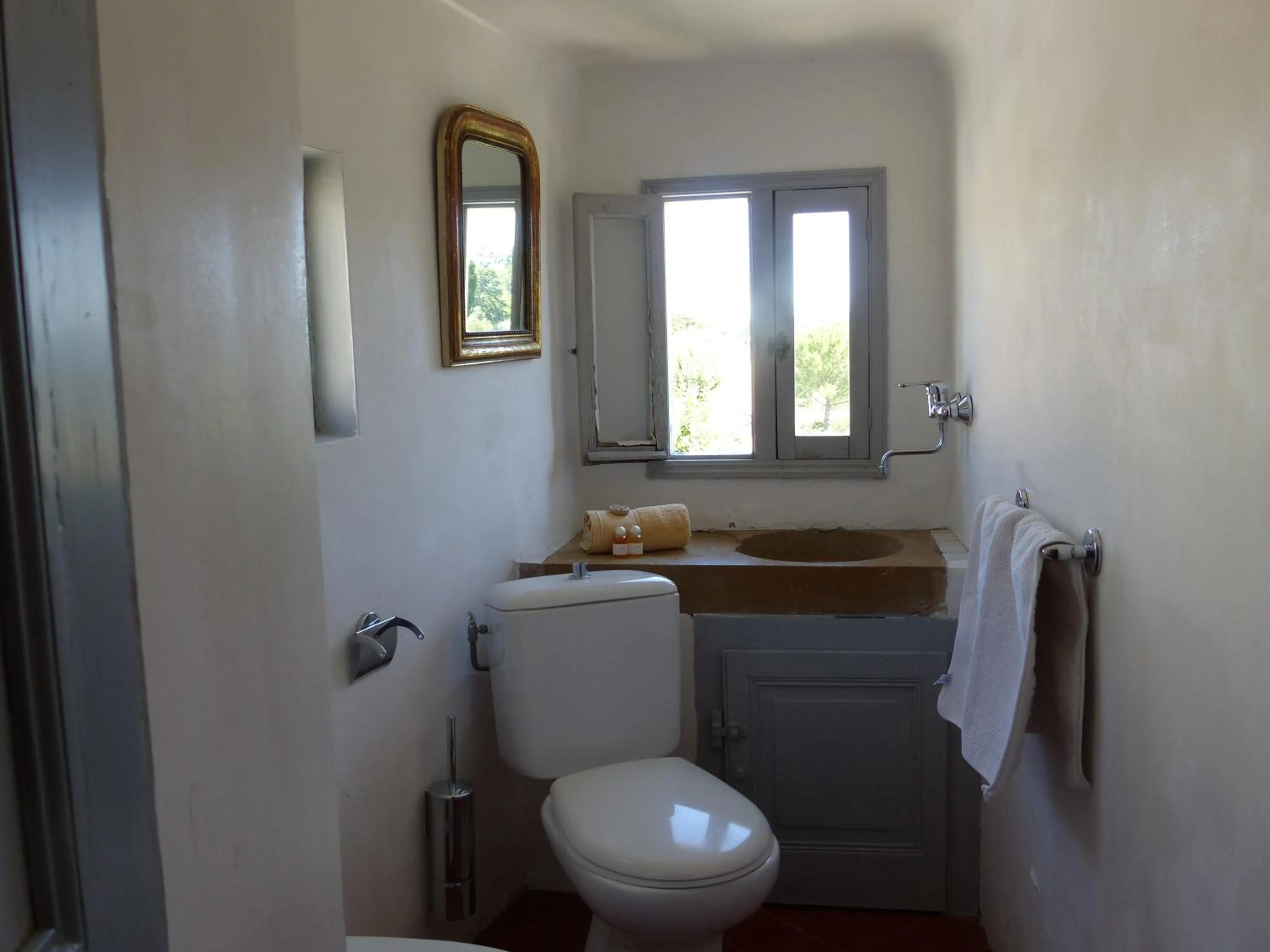 Toilet in Château du Grand Jardin