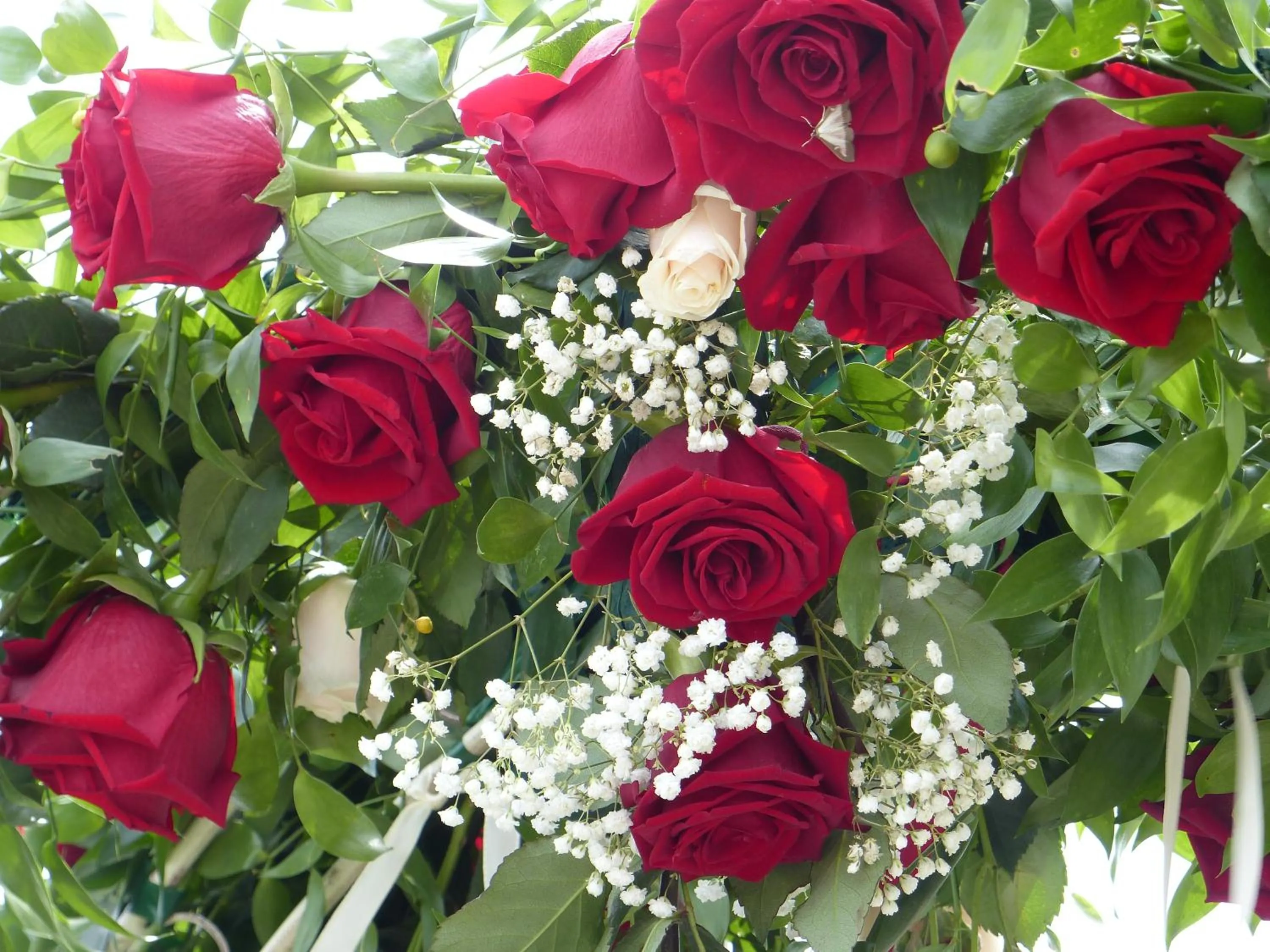 Garden in Château du Grand Jardin