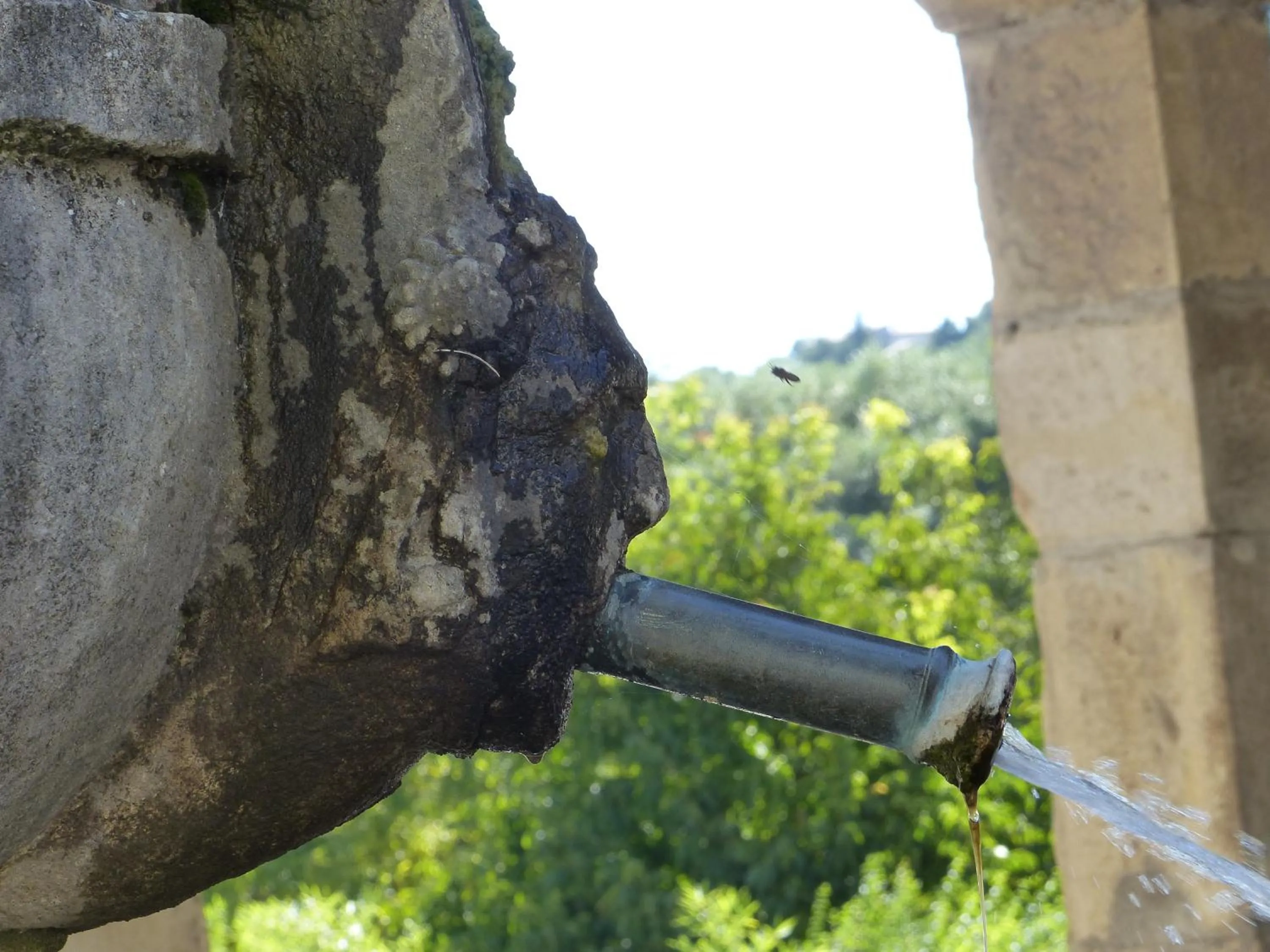 Château du Grand Jardin