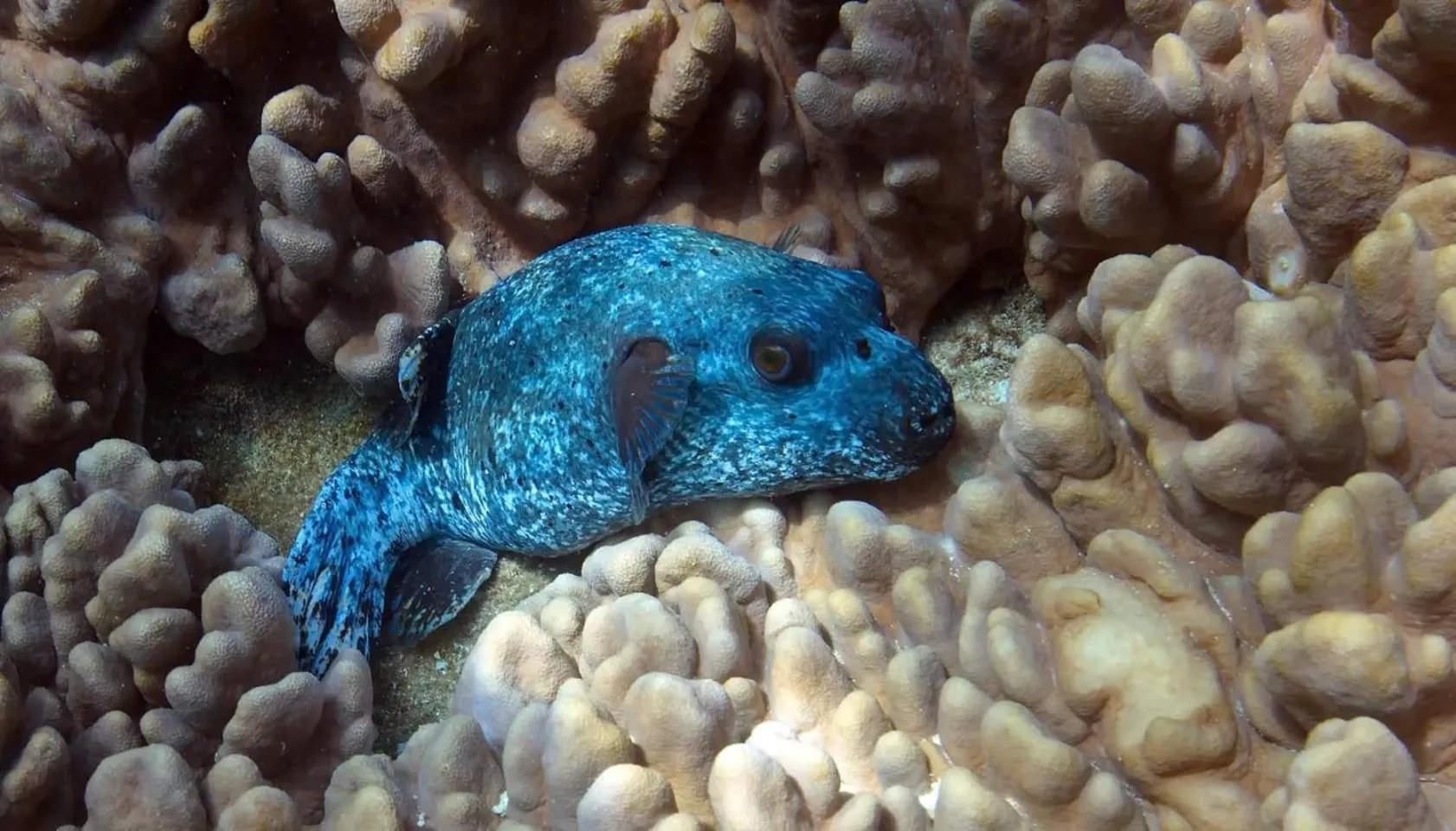 Off site in Amber House Lanka