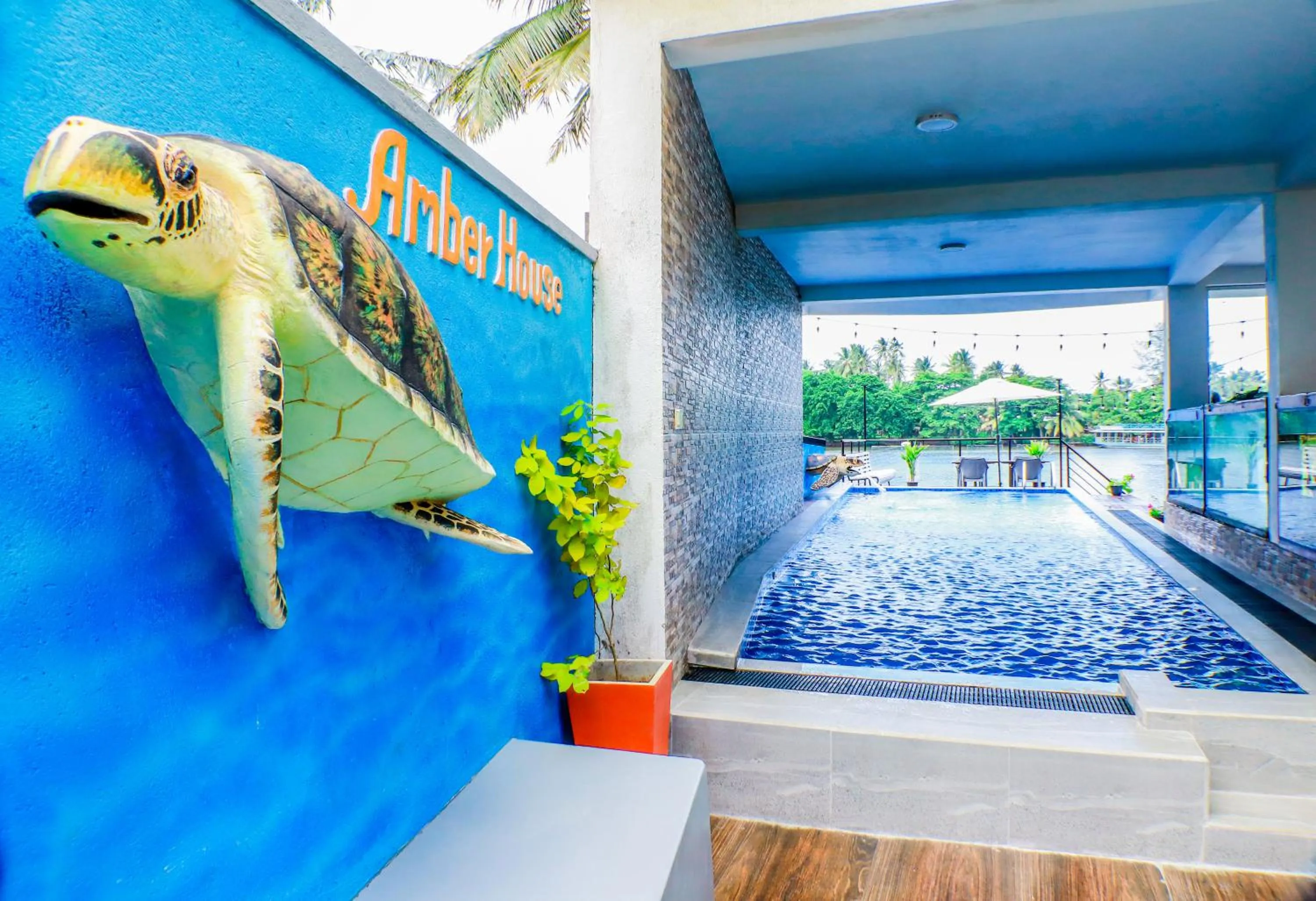 Swimming pool in Amber House Lanka