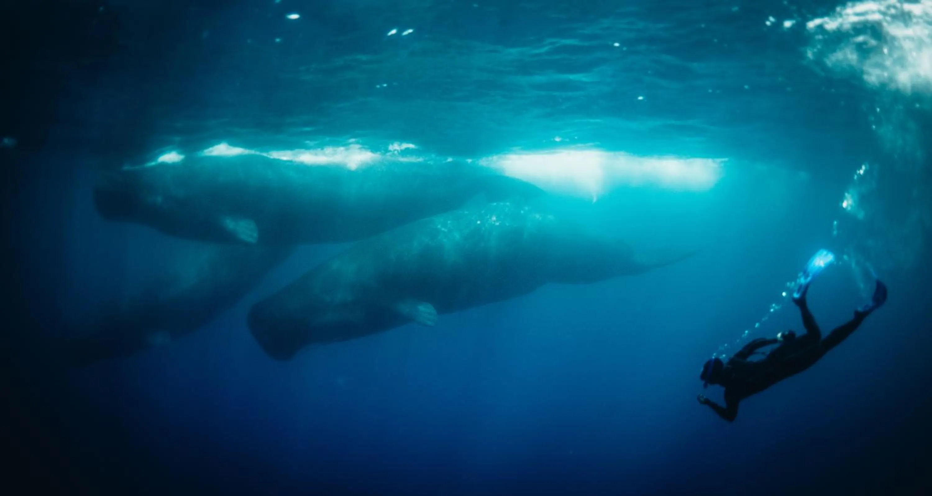 Off site in Amber House Lanka