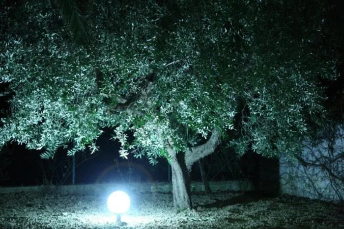 Night in Cantina Loft