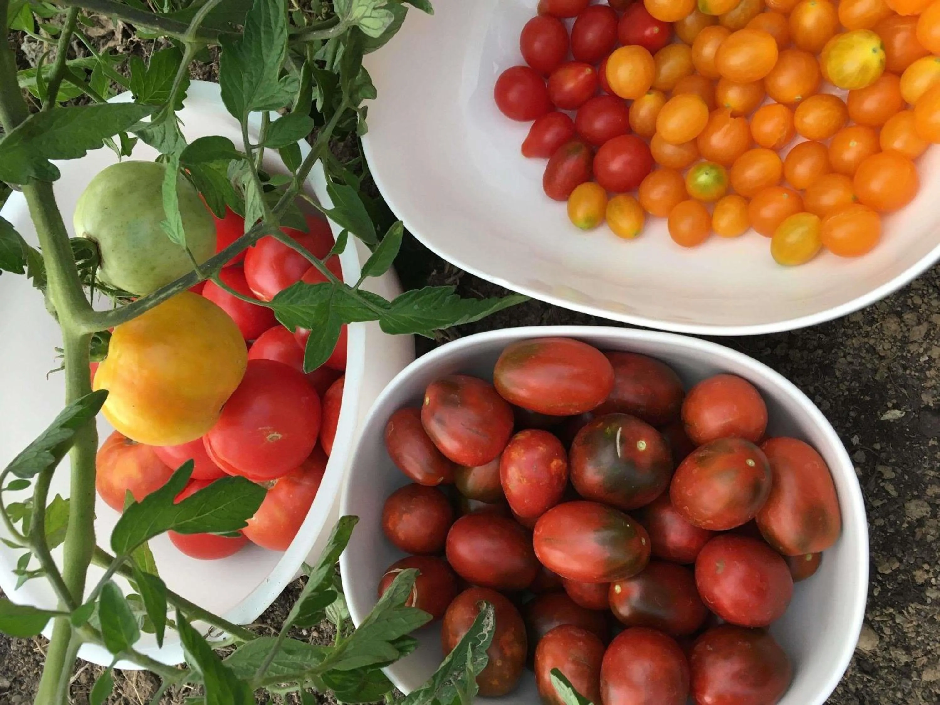 Other in ibis Strasbourg Sud La Vigie