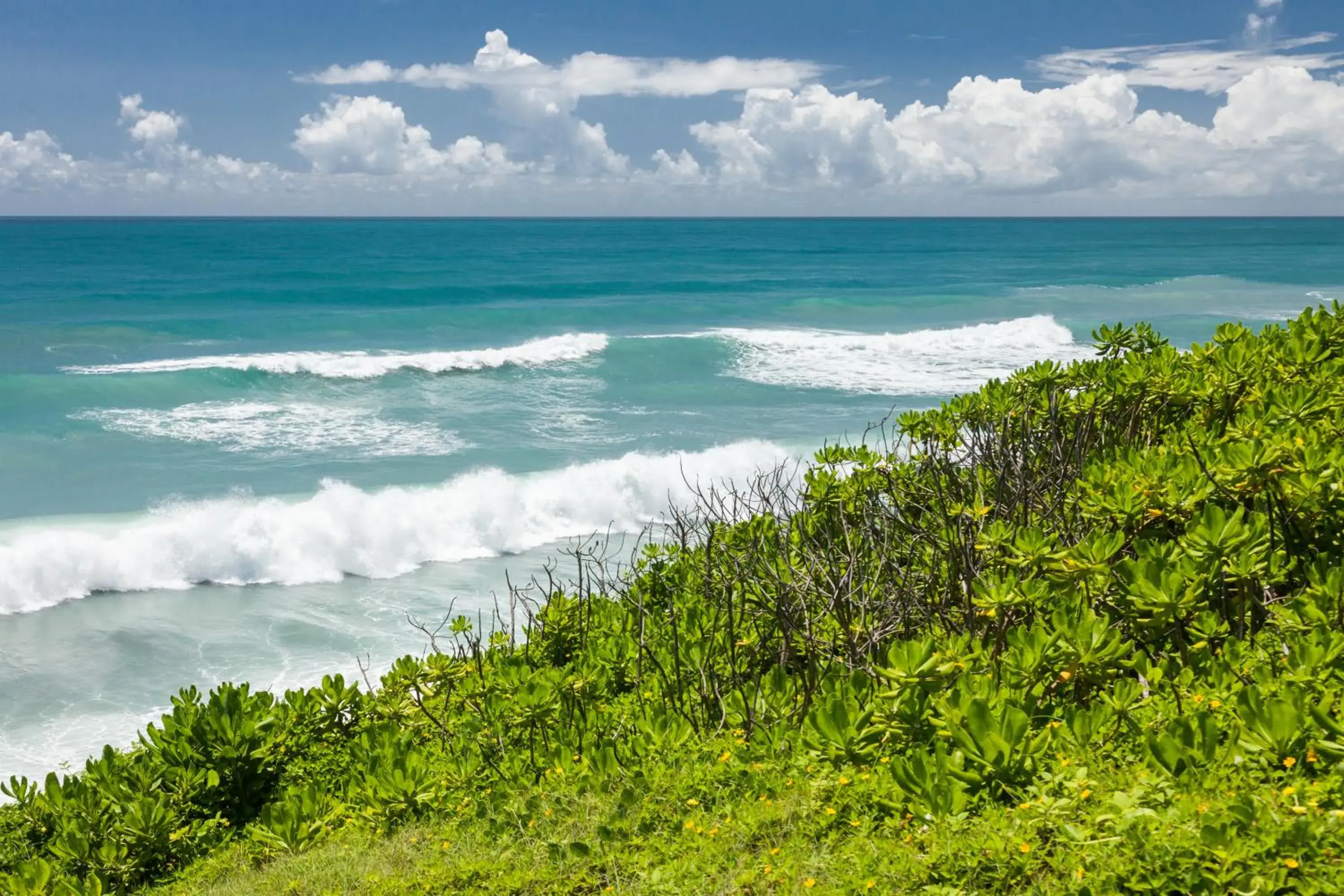 Property building in Sea Dragonfly Property building in Sea Dragonfly