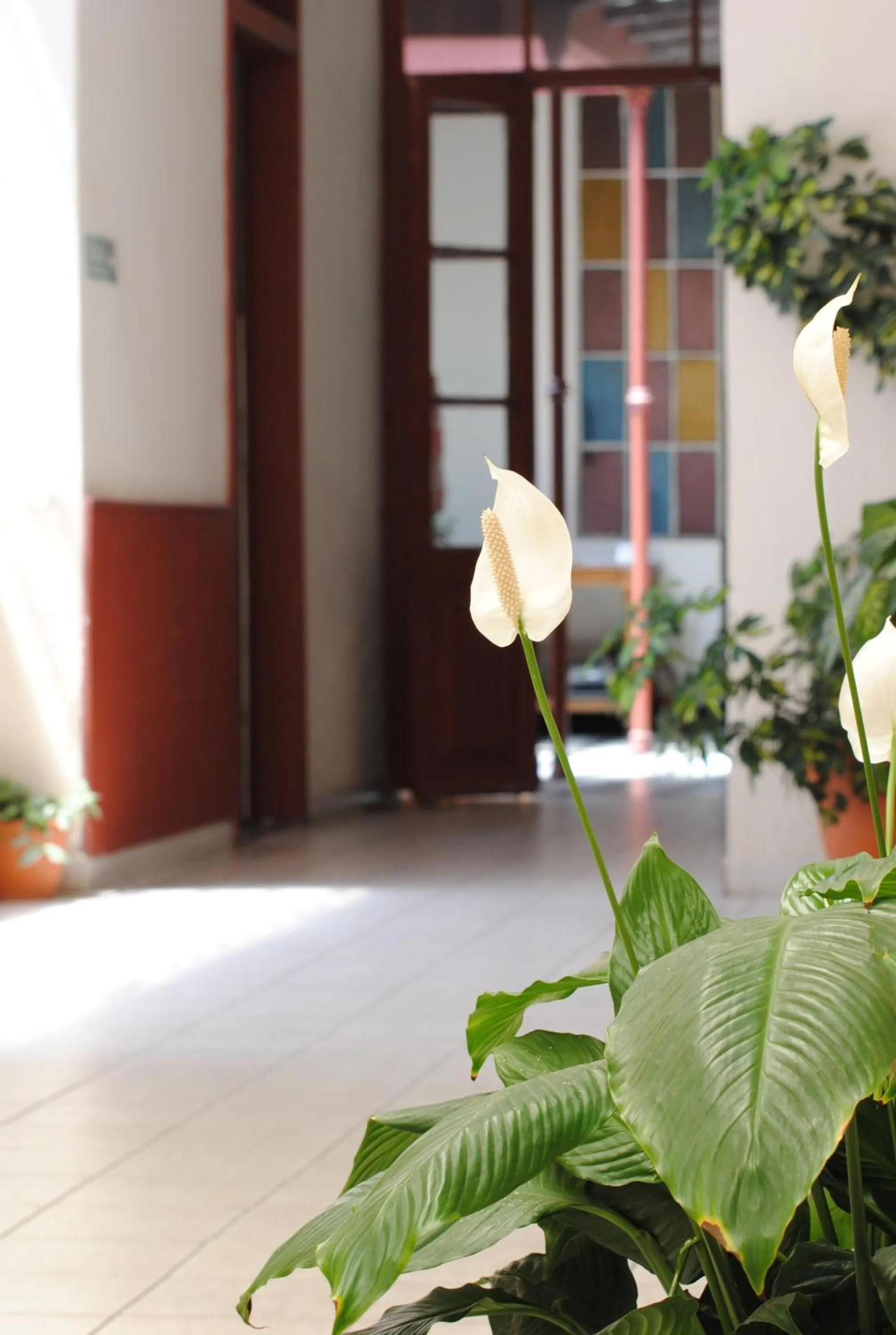 Other in Posada Casa de Borgoña