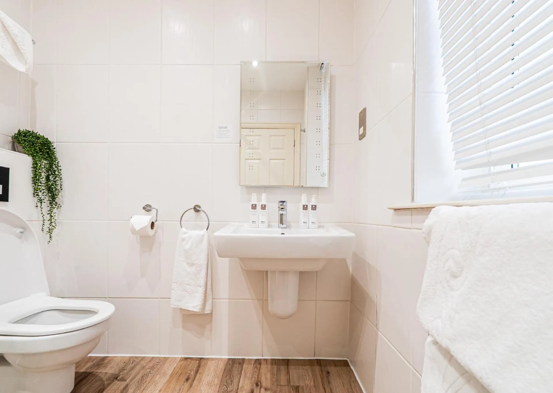 Toilet in The Cranleigh Boutique