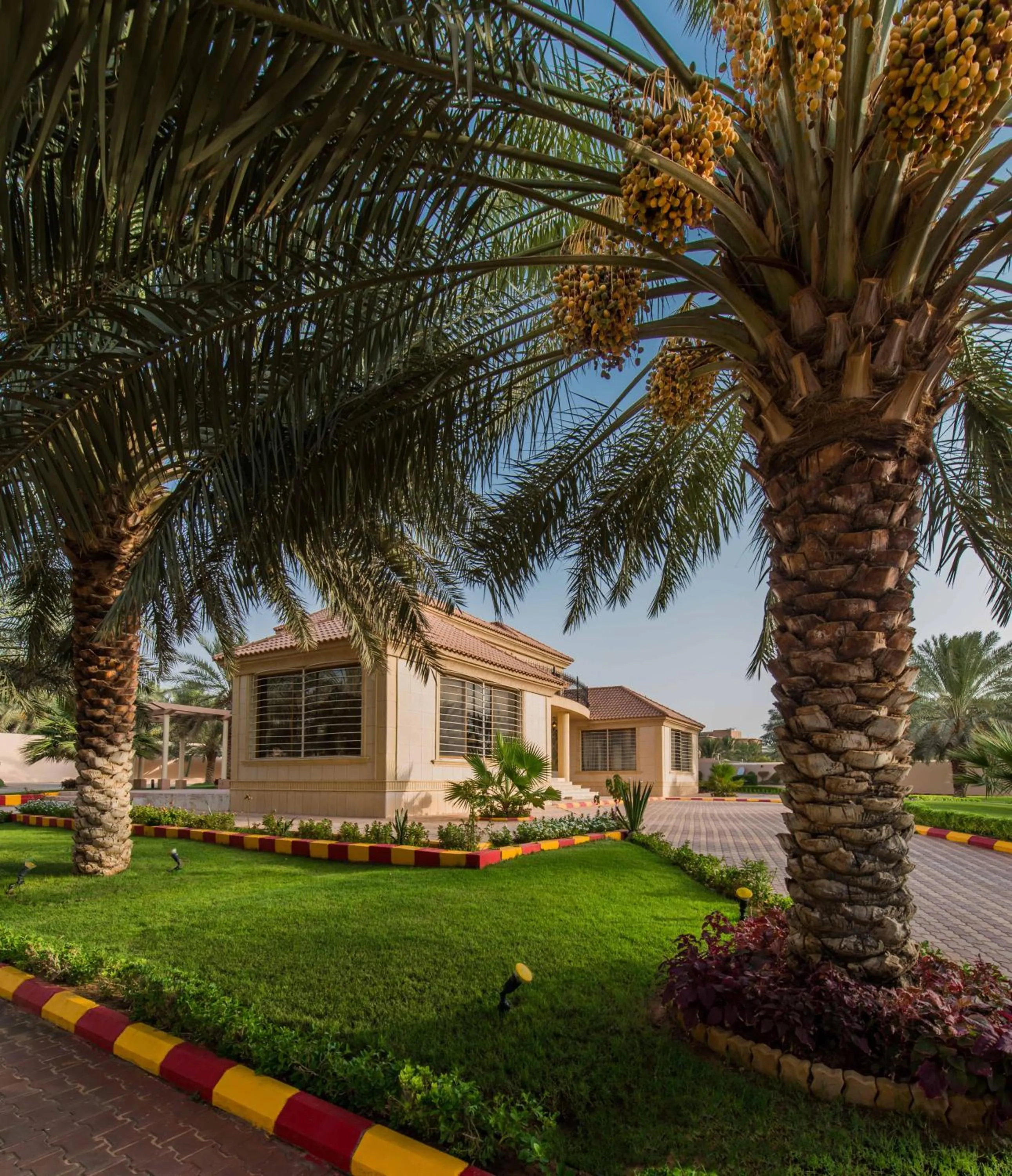 Spring in Boudl Al Nakheel