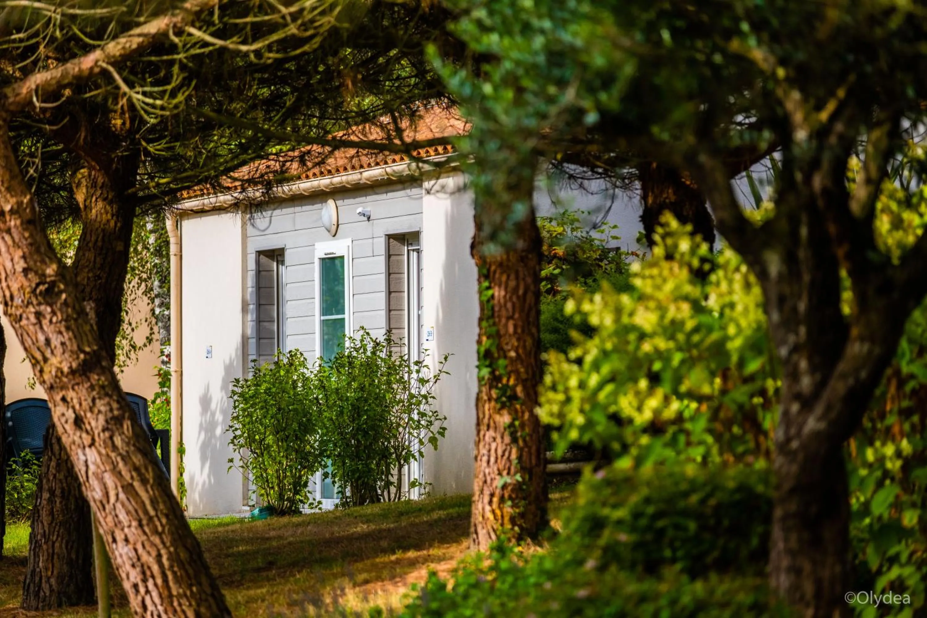 Garden view in Olydea Les Epesses