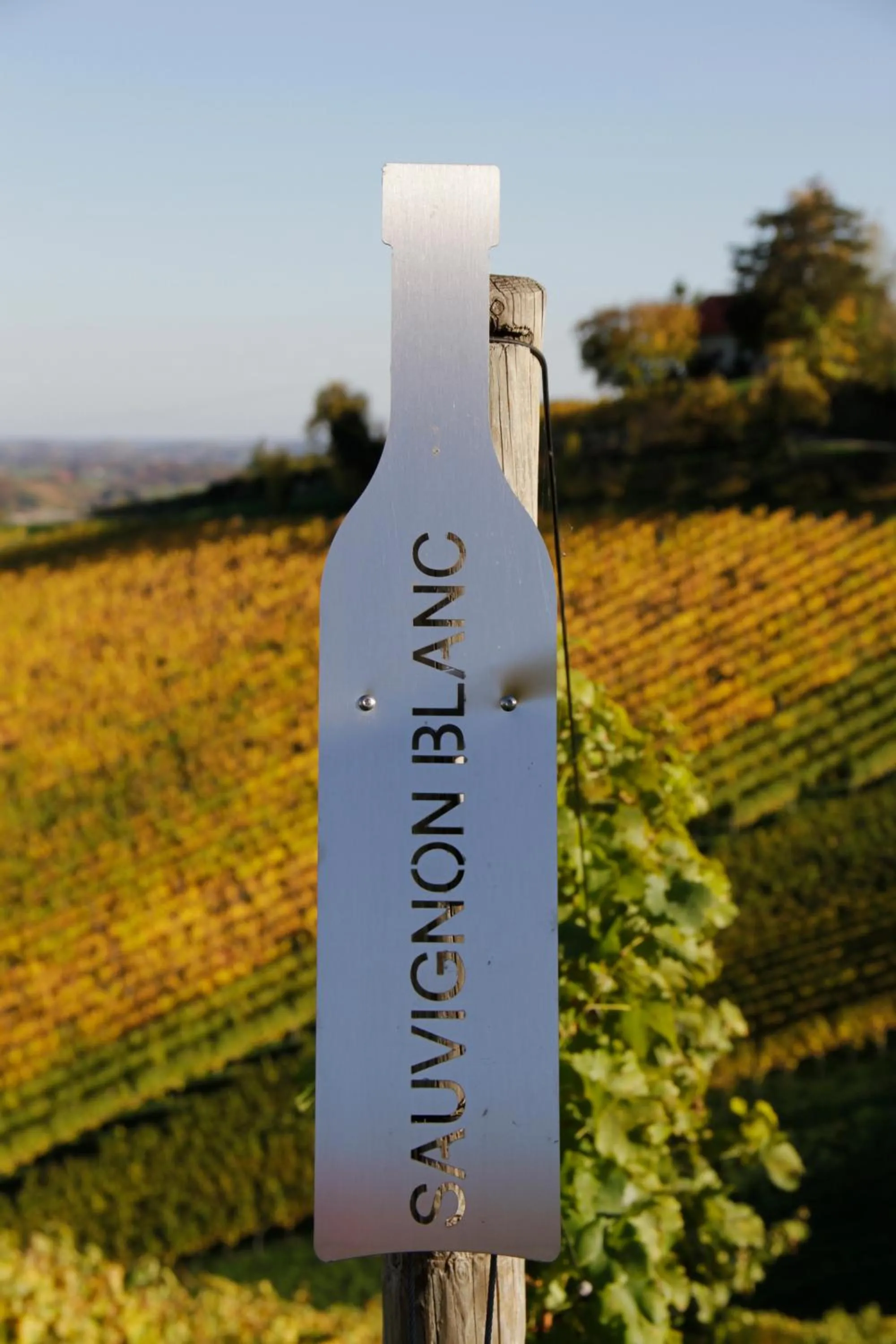 Logo/Certificate/Sign in Weingut Dreisiebner Stammhaus