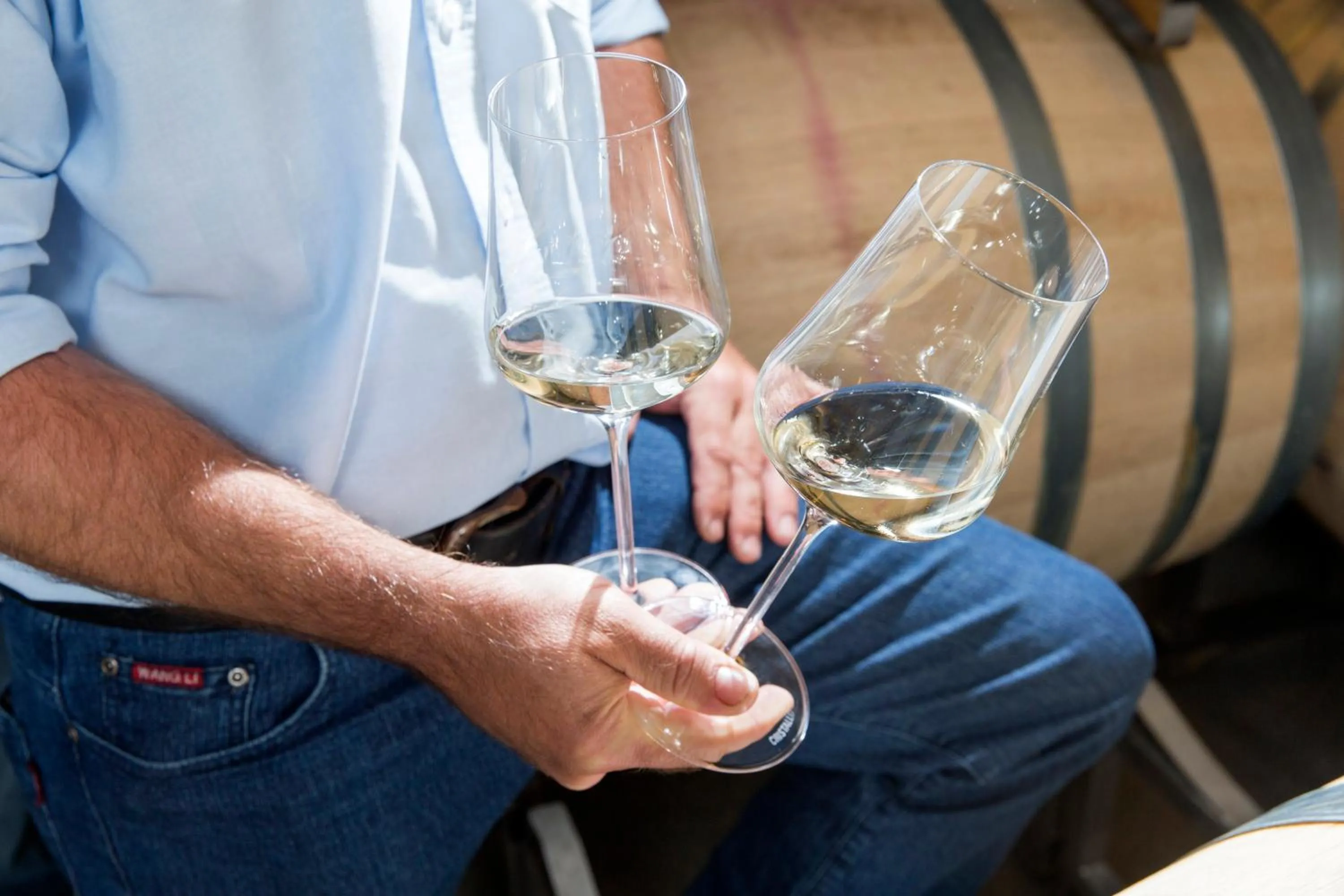 Food and drinks in Weingut Dreisiebner Stammhaus