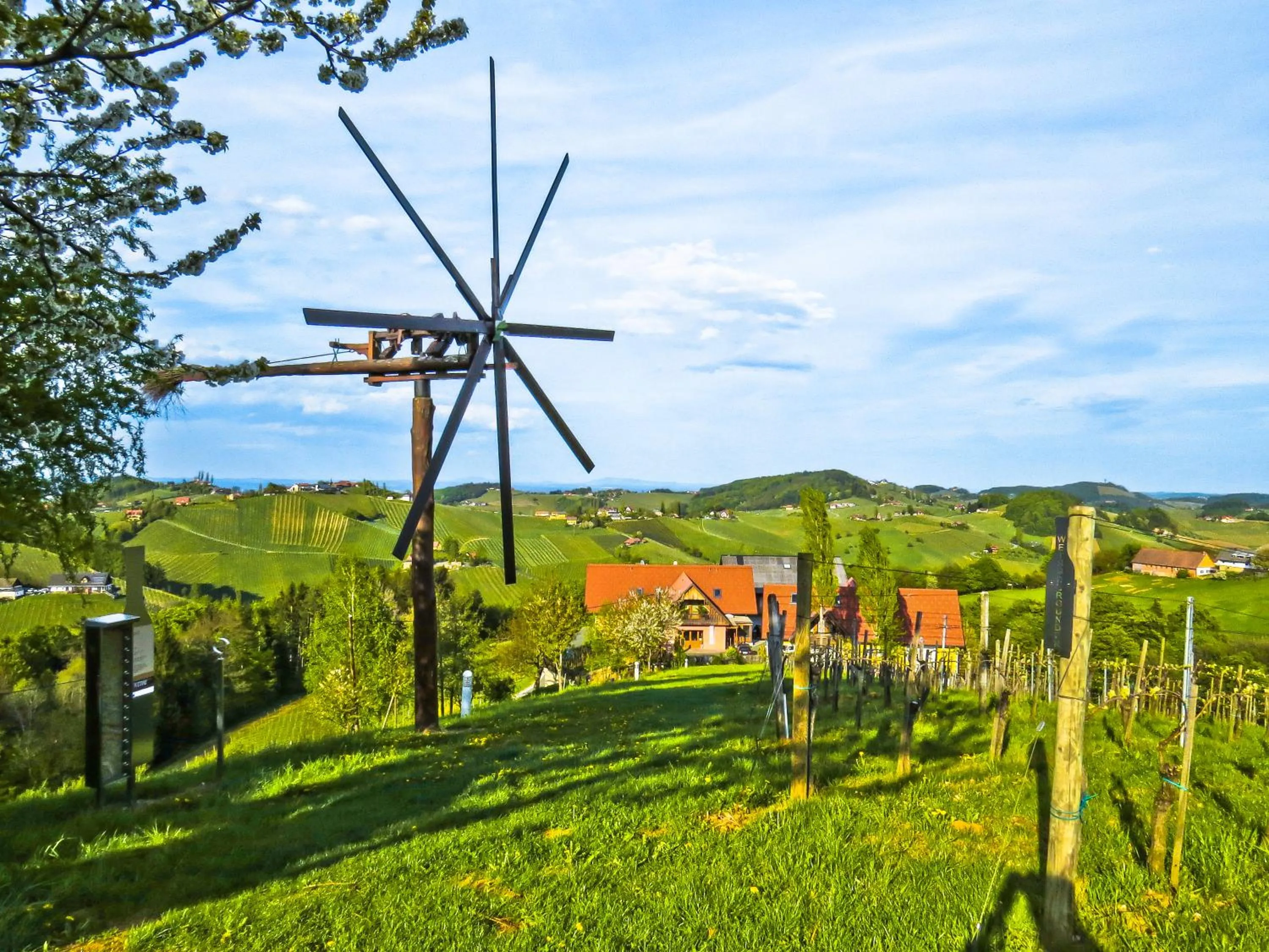 Natural landscape in Weingut Dreisiebner Stammhaus
