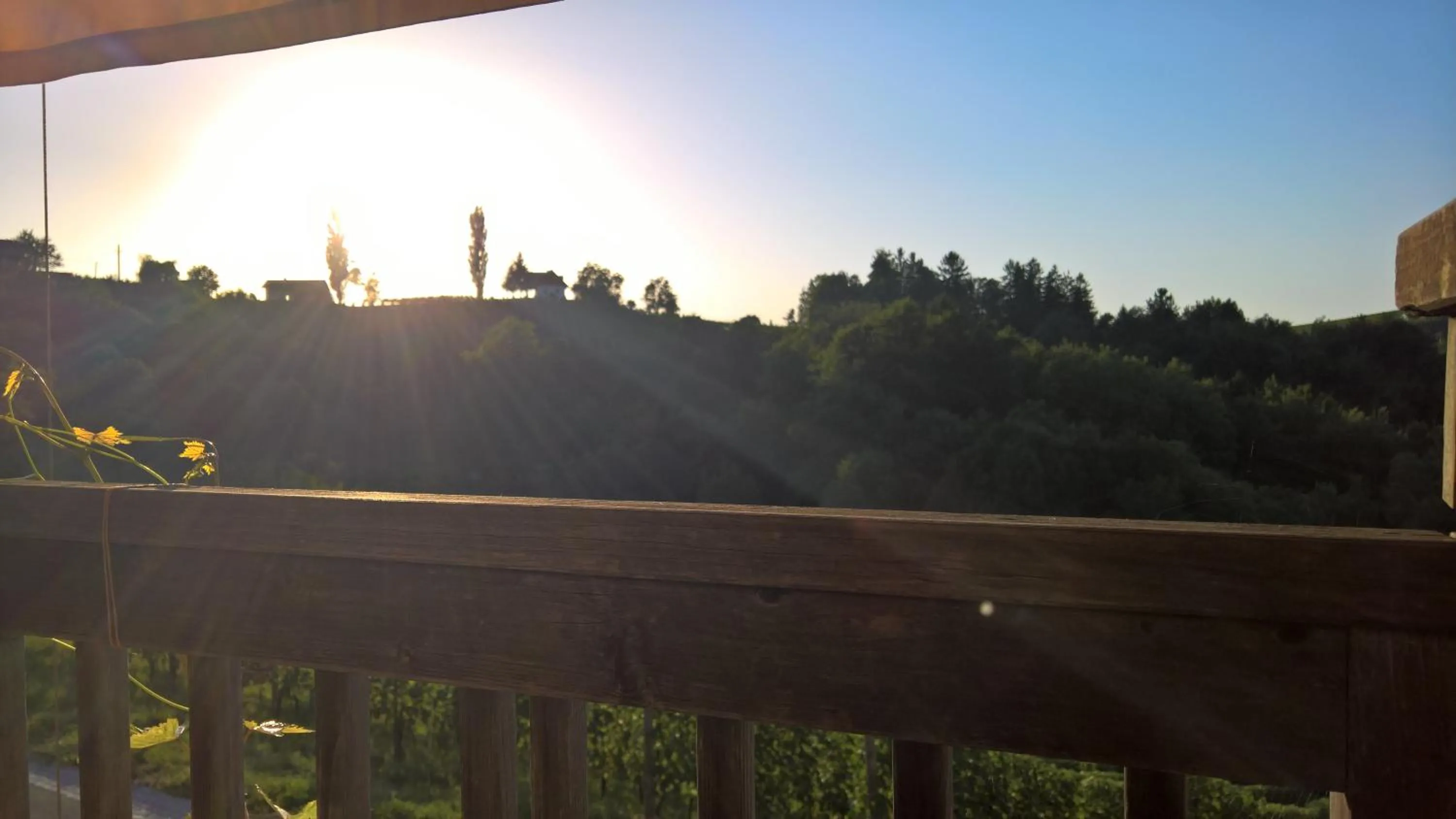 Natural landscape in Weingut Dreisiebner Stammhaus