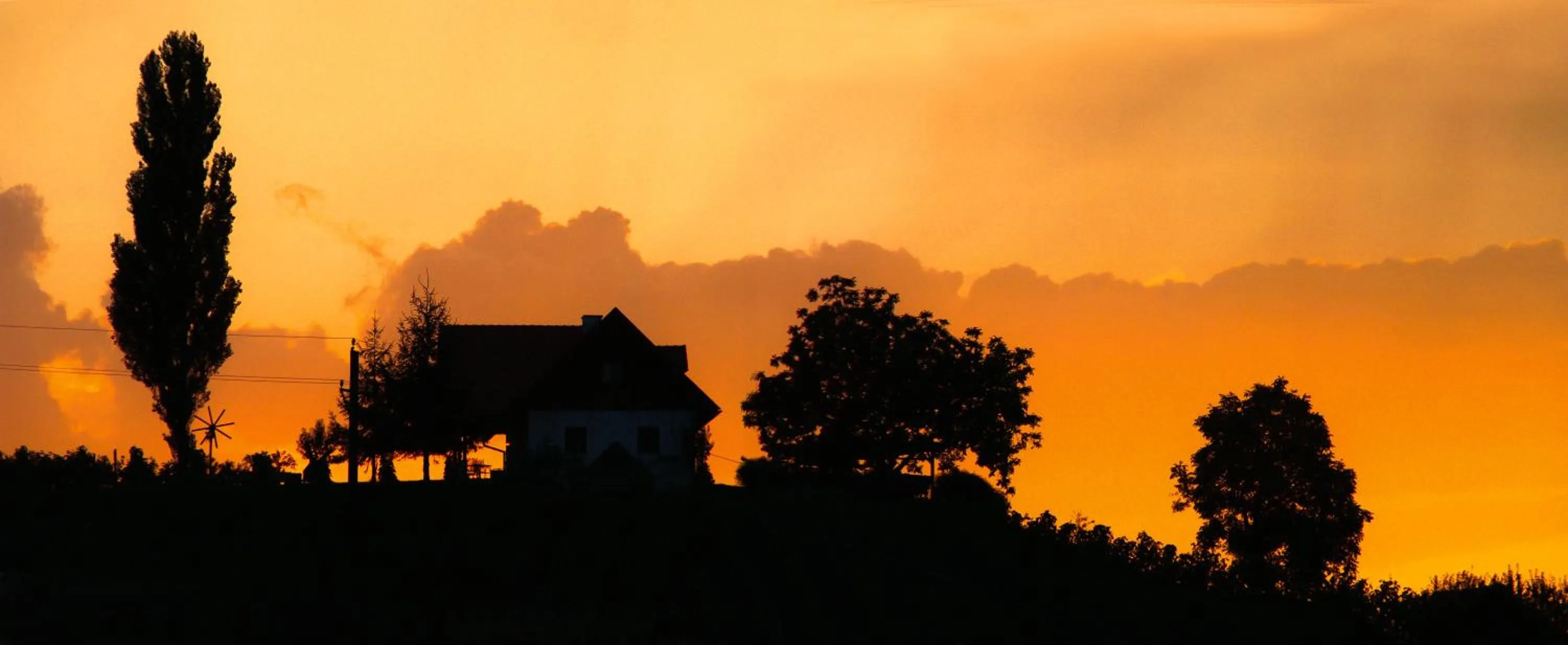 Natural landscape in Weingut Dreisiebner Stammhaus