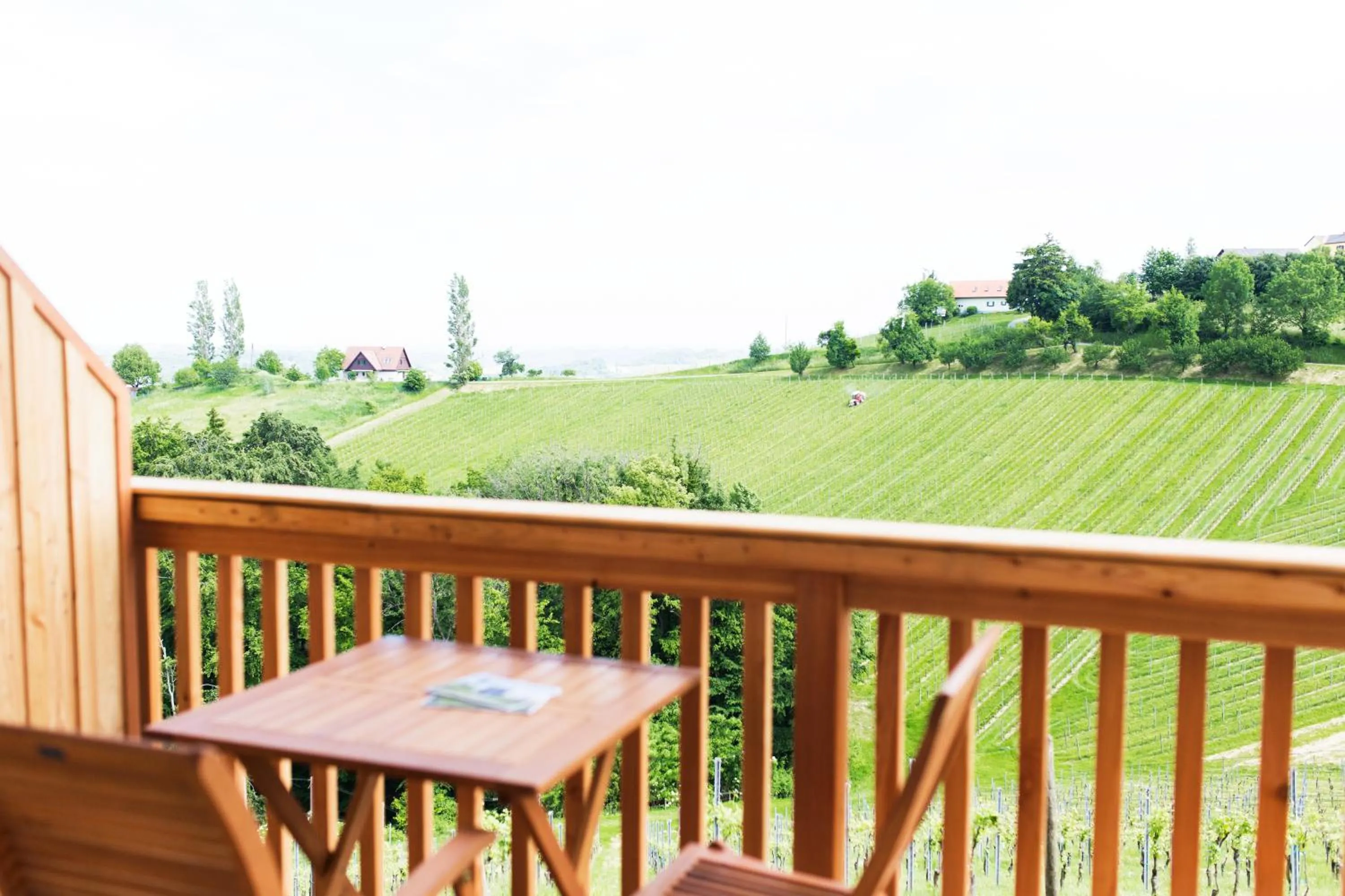 Natural landscape in Weingut Dreisiebner Stammhaus