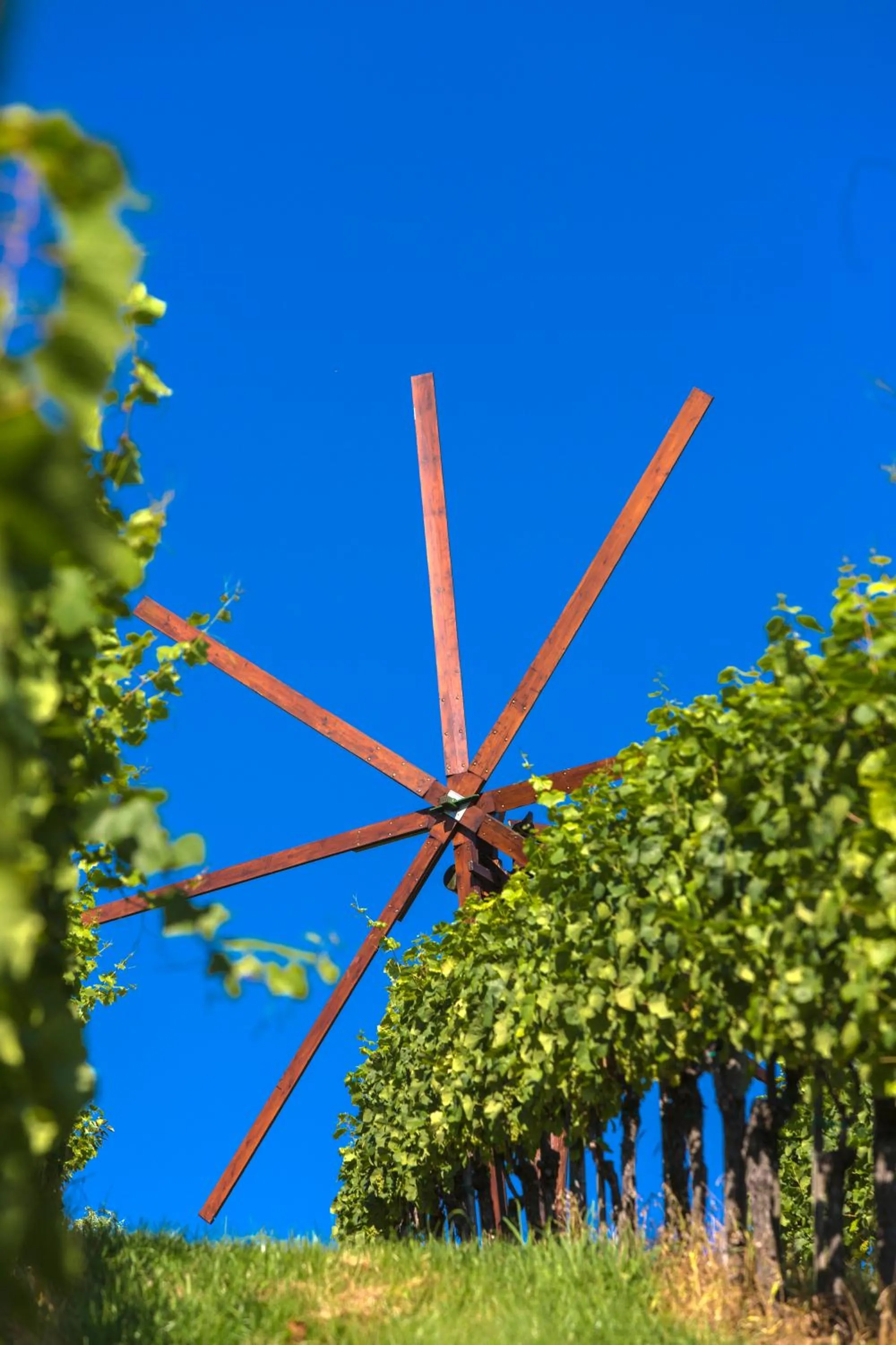 Property building in Weingut Dreisiebner Stammhaus