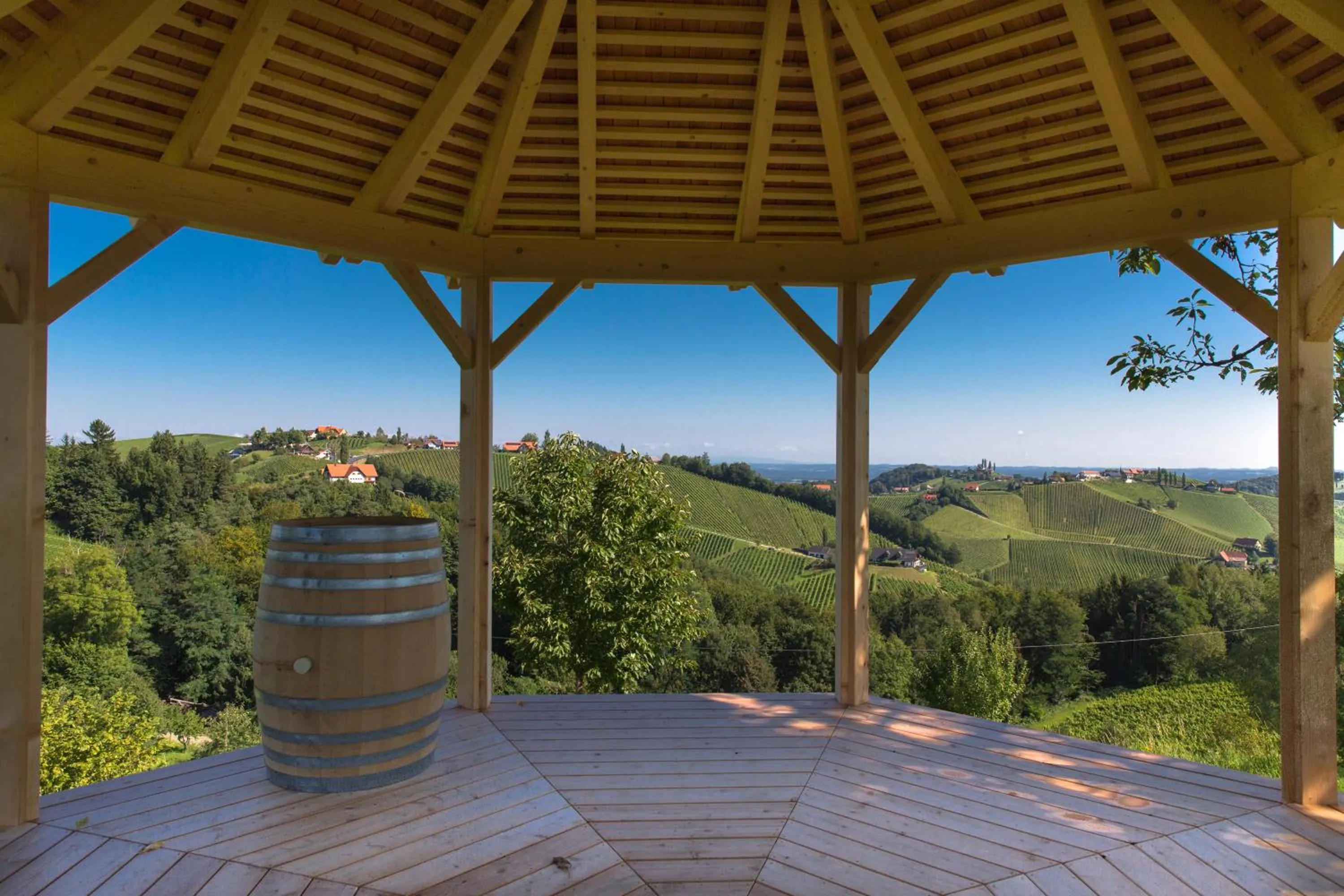 Property building in Weingut Dreisiebner Stammhaus